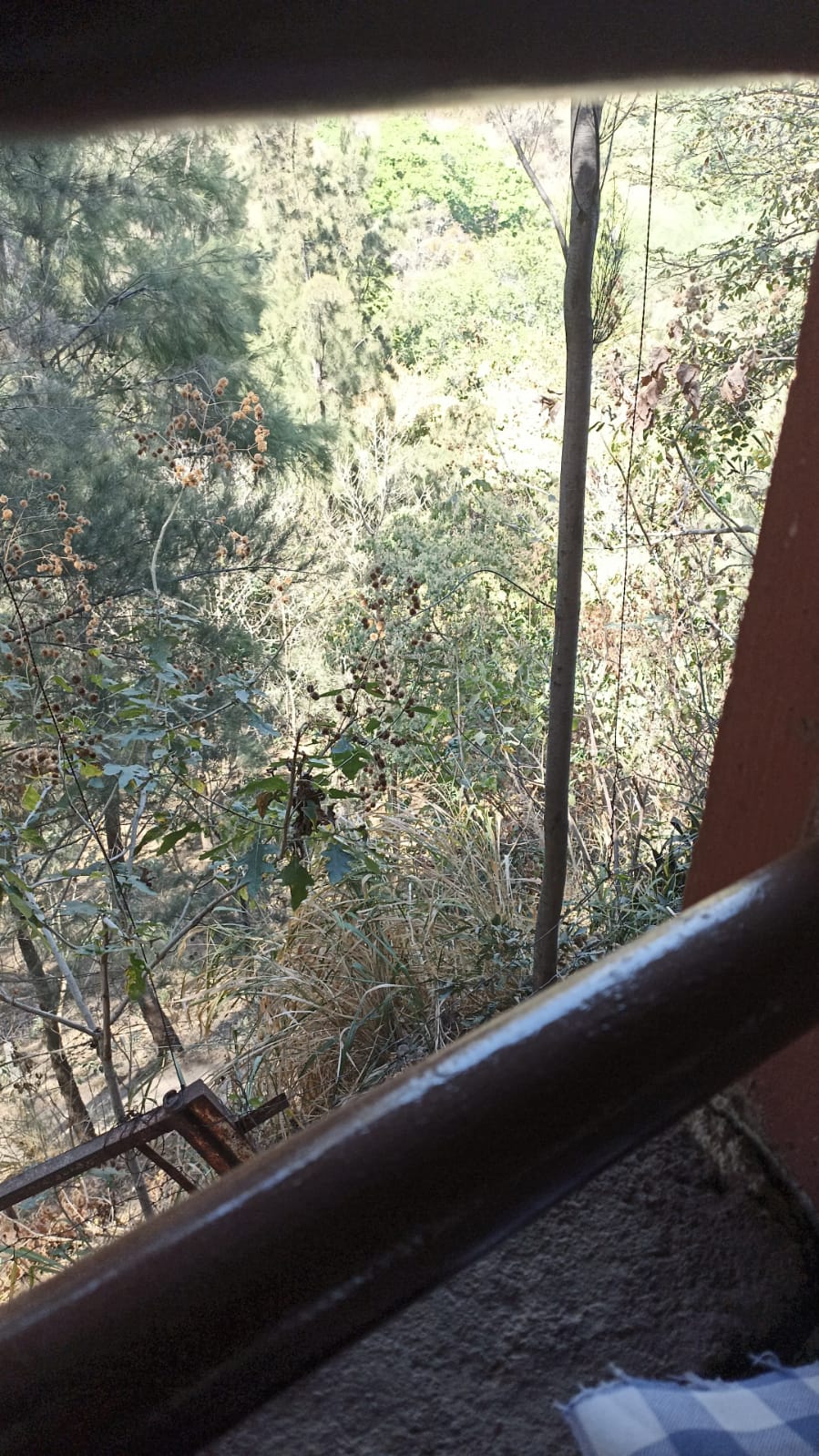 Carnes Asadas Buenavista image 6