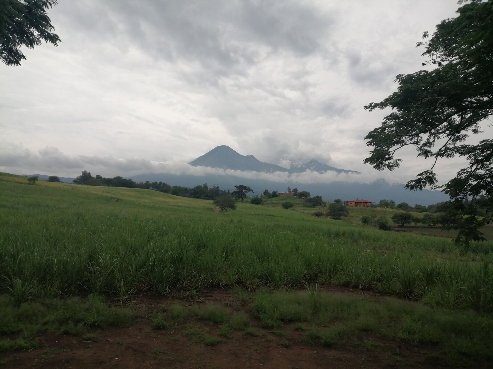 La Parota image 3