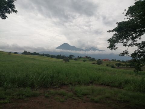 La Parota image 3