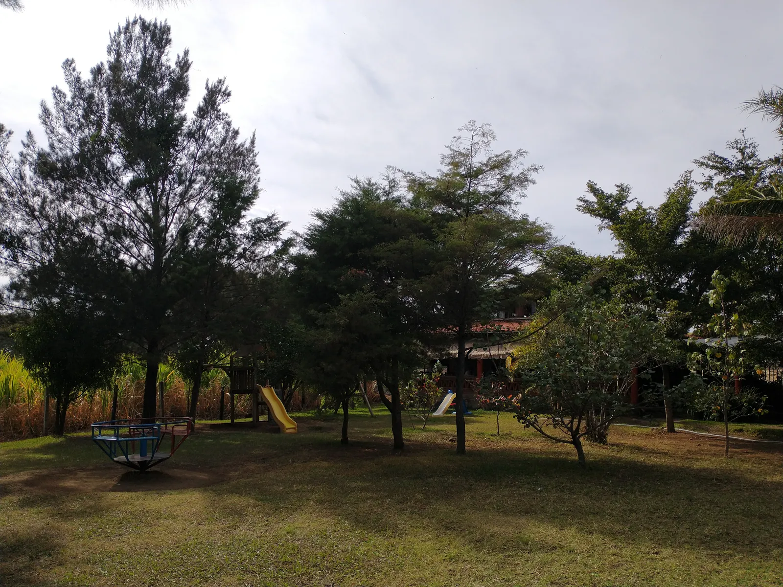 La Parota image 5