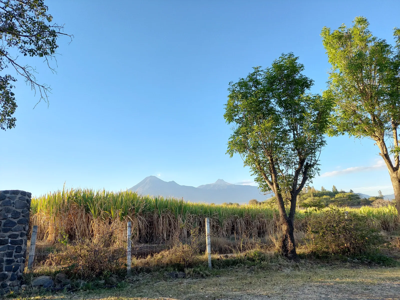 La Parota image 8