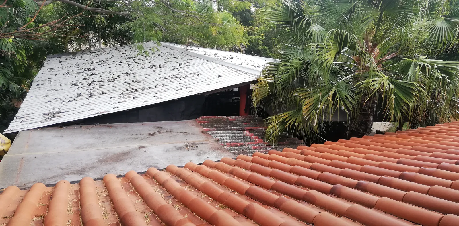 La Parota image 9