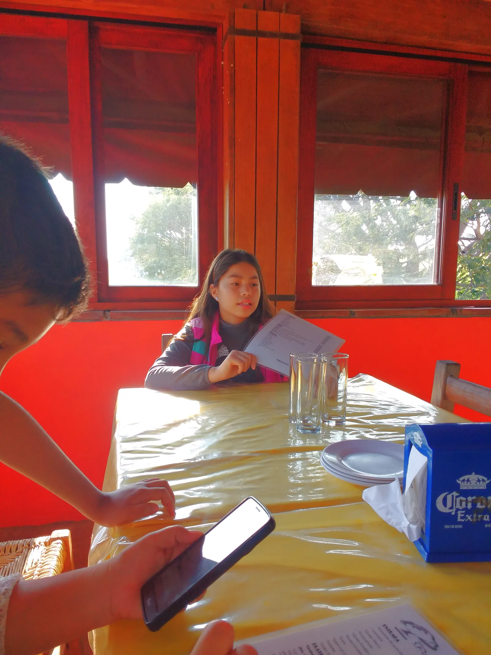 La Parota image 10