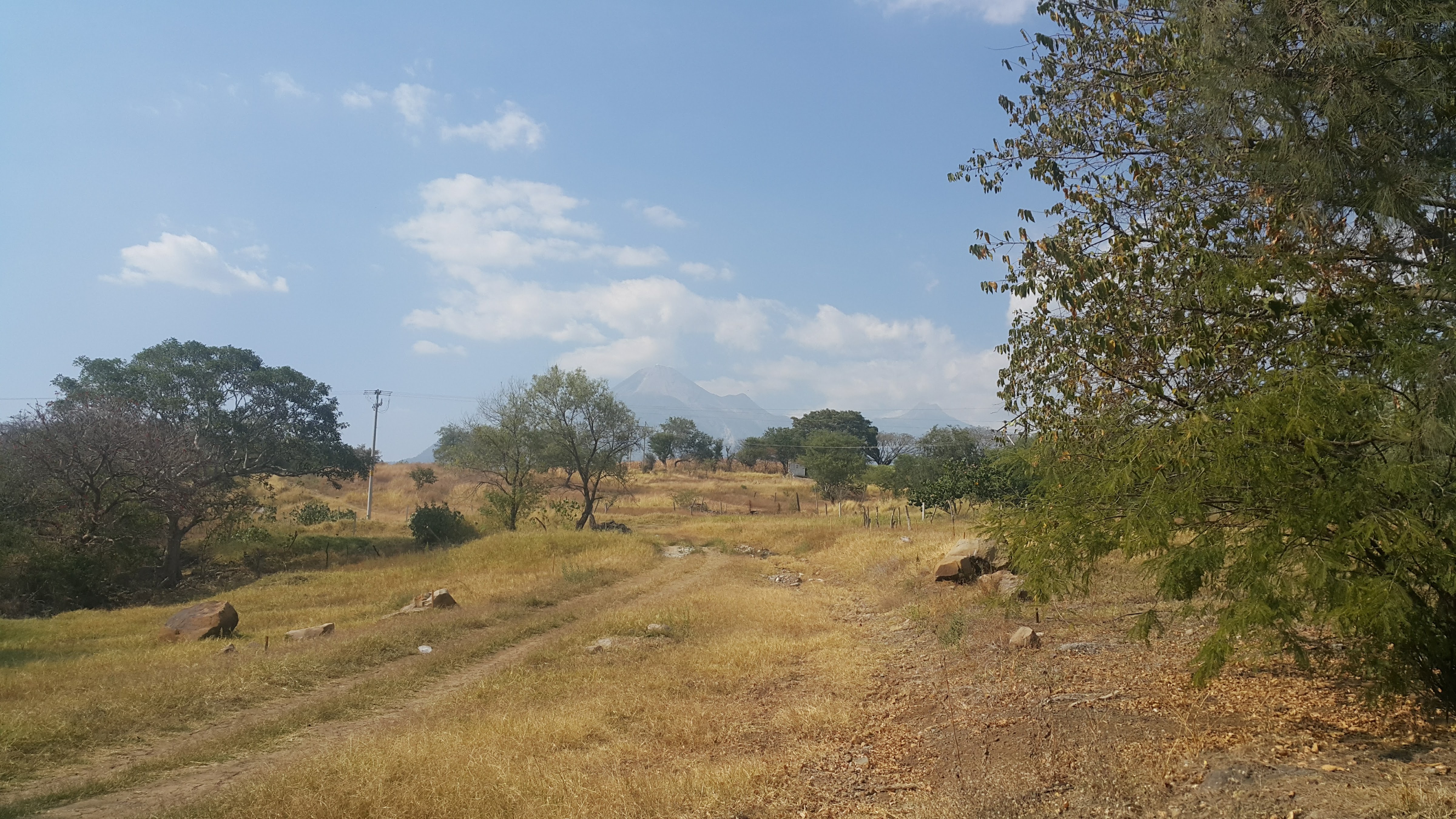 Carnes Asadas Navarro image 4