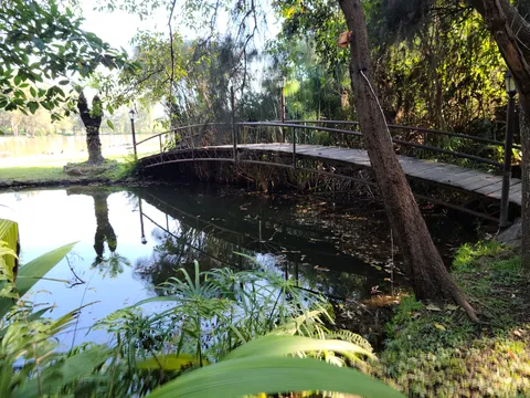 El Pinar del Chayán image 3