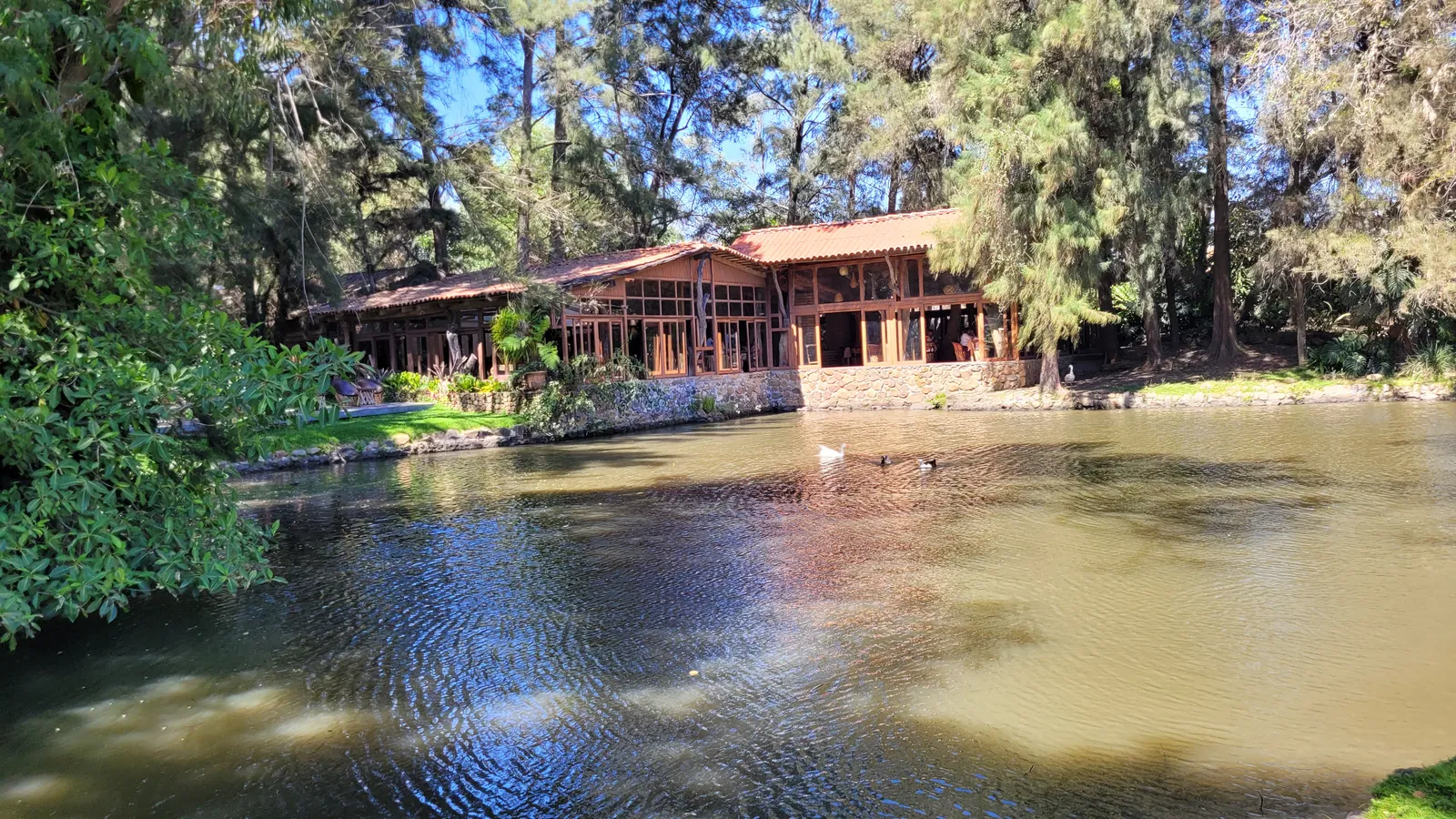 El Pinar del Chayán image 5