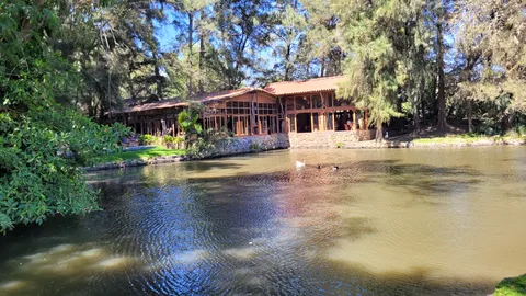 El Pinar del Chayán image 5