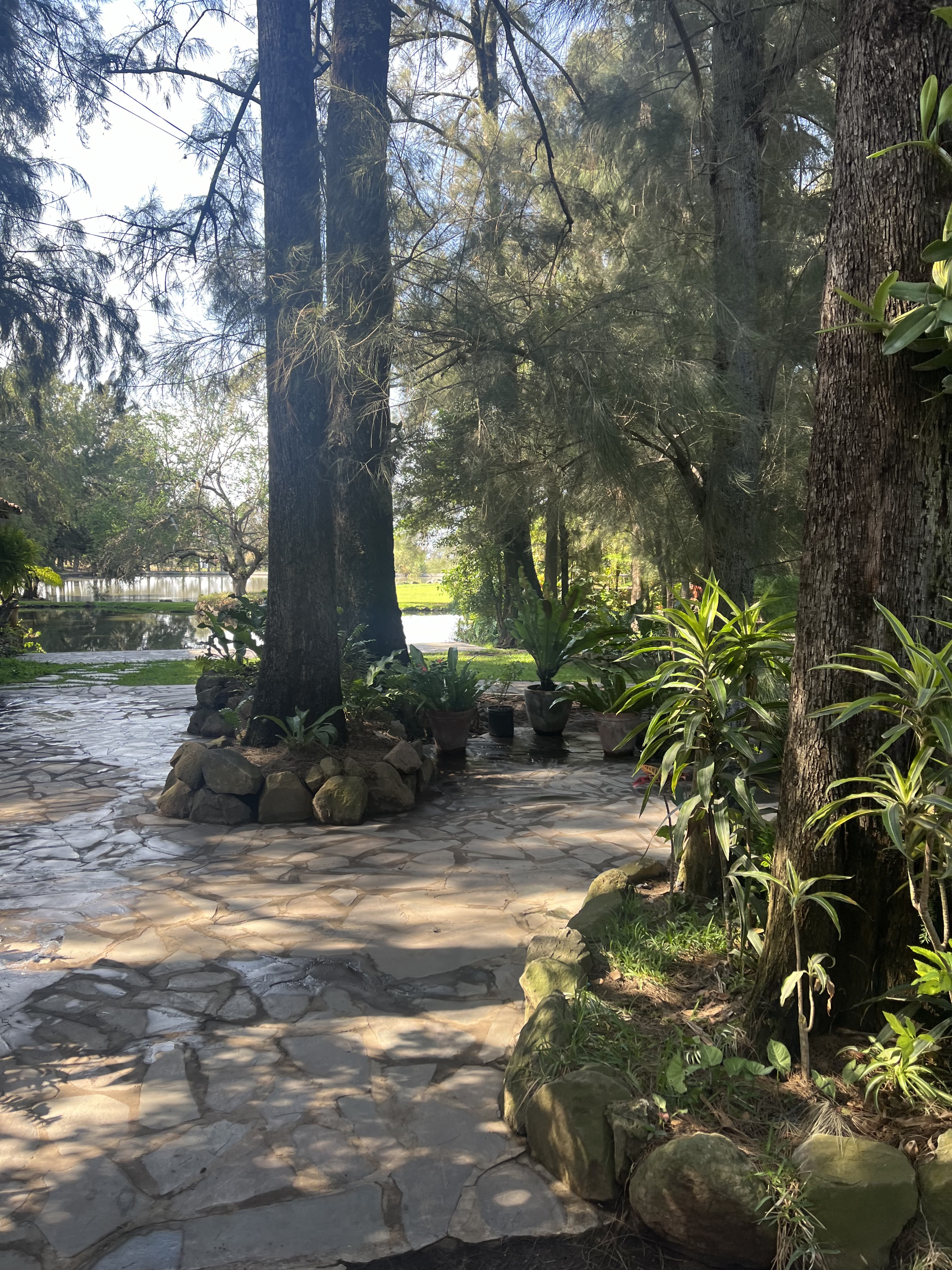 El Pinar del Chayán image 6