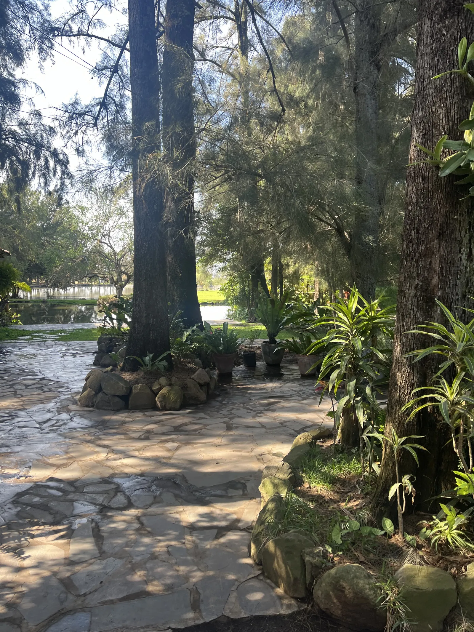 El Pinar del Chayán image 6