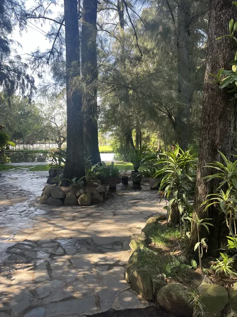 El Pinar del Chayán image 6