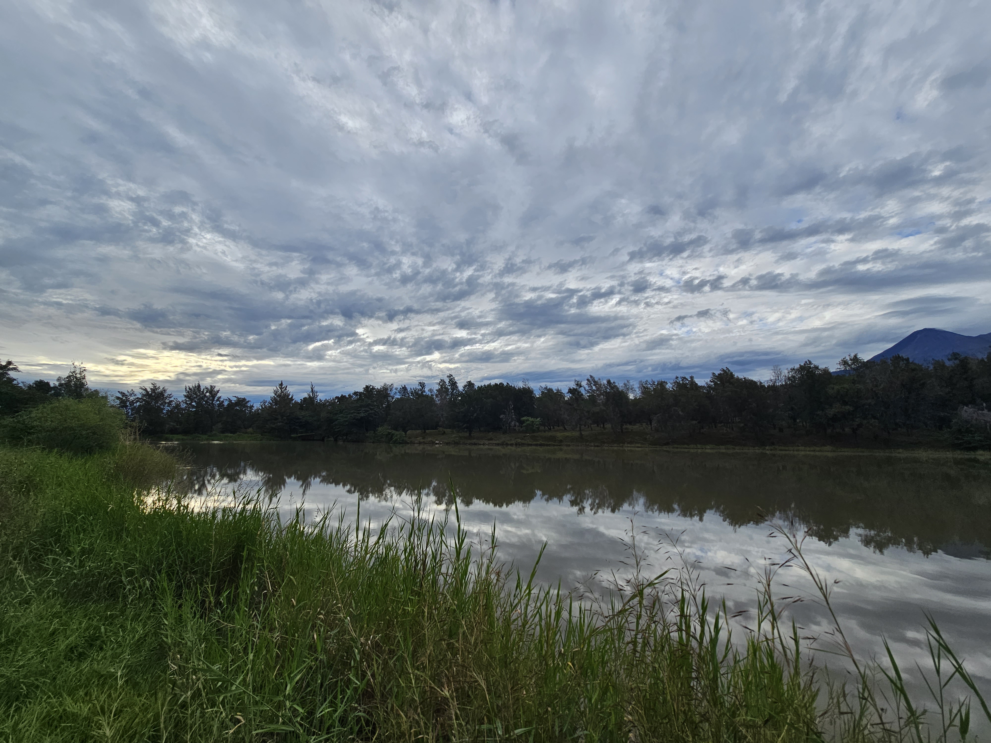 El Pinar del Chayán image 9