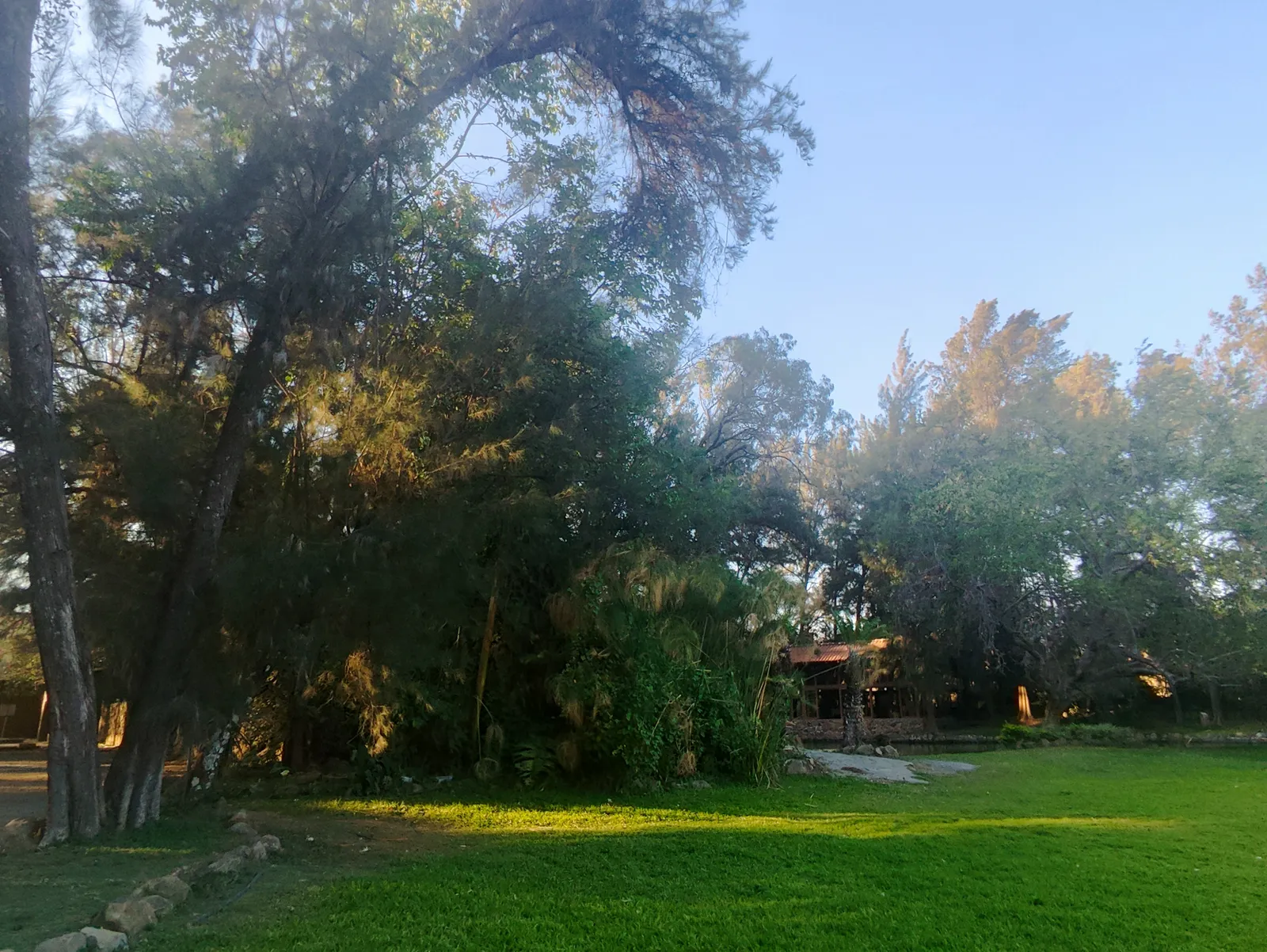 El Pinar del Chayán image 10