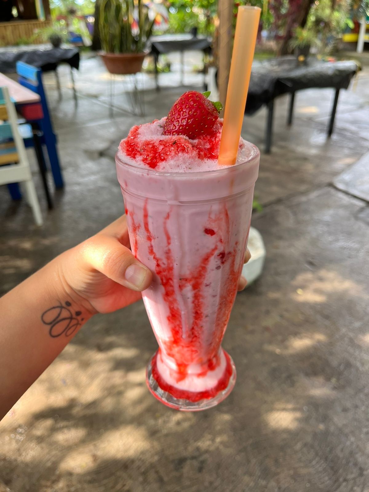 LOS PLACERES image 9