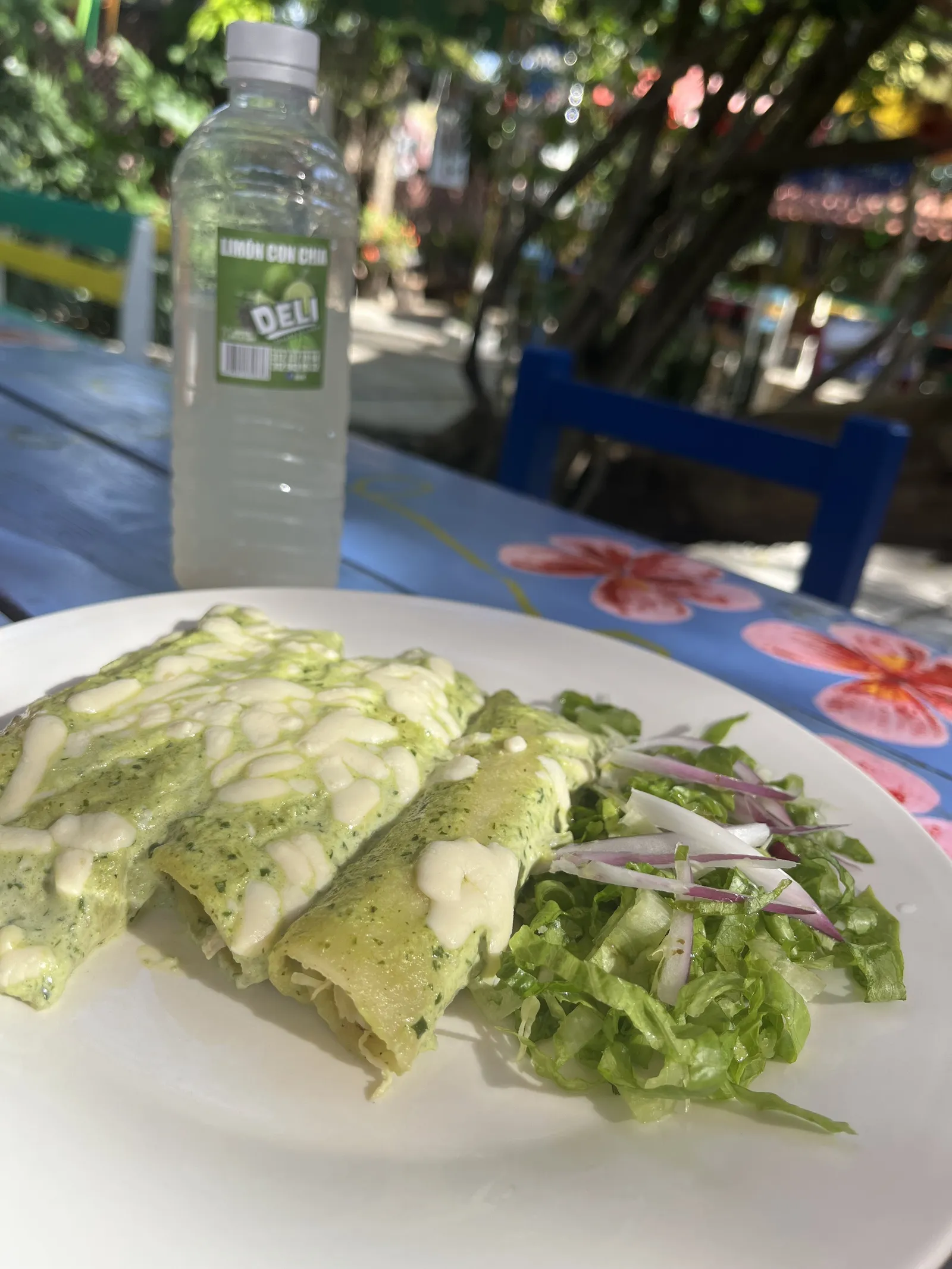 LOS PLACERES image 10