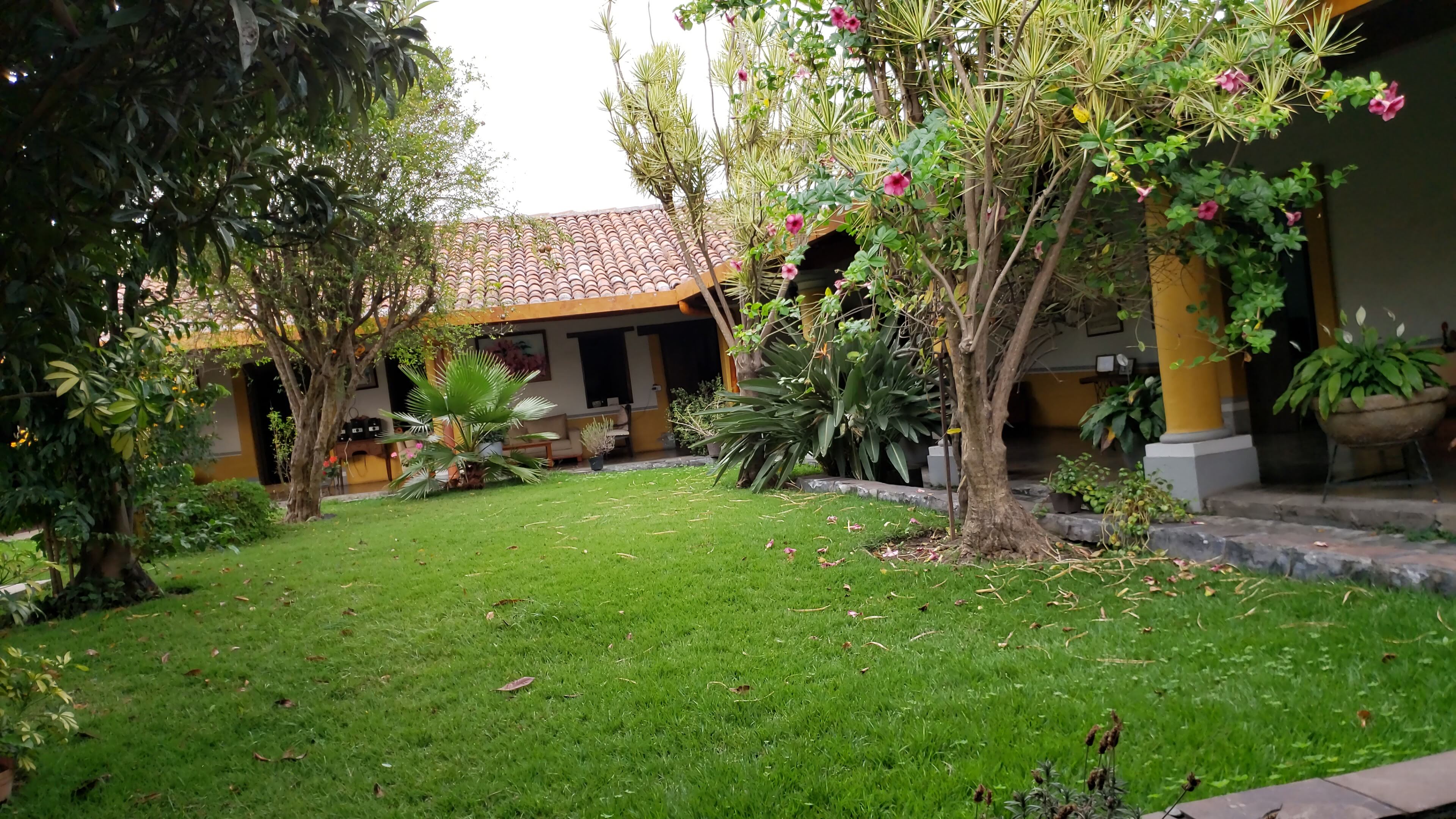 Saborea café image 10