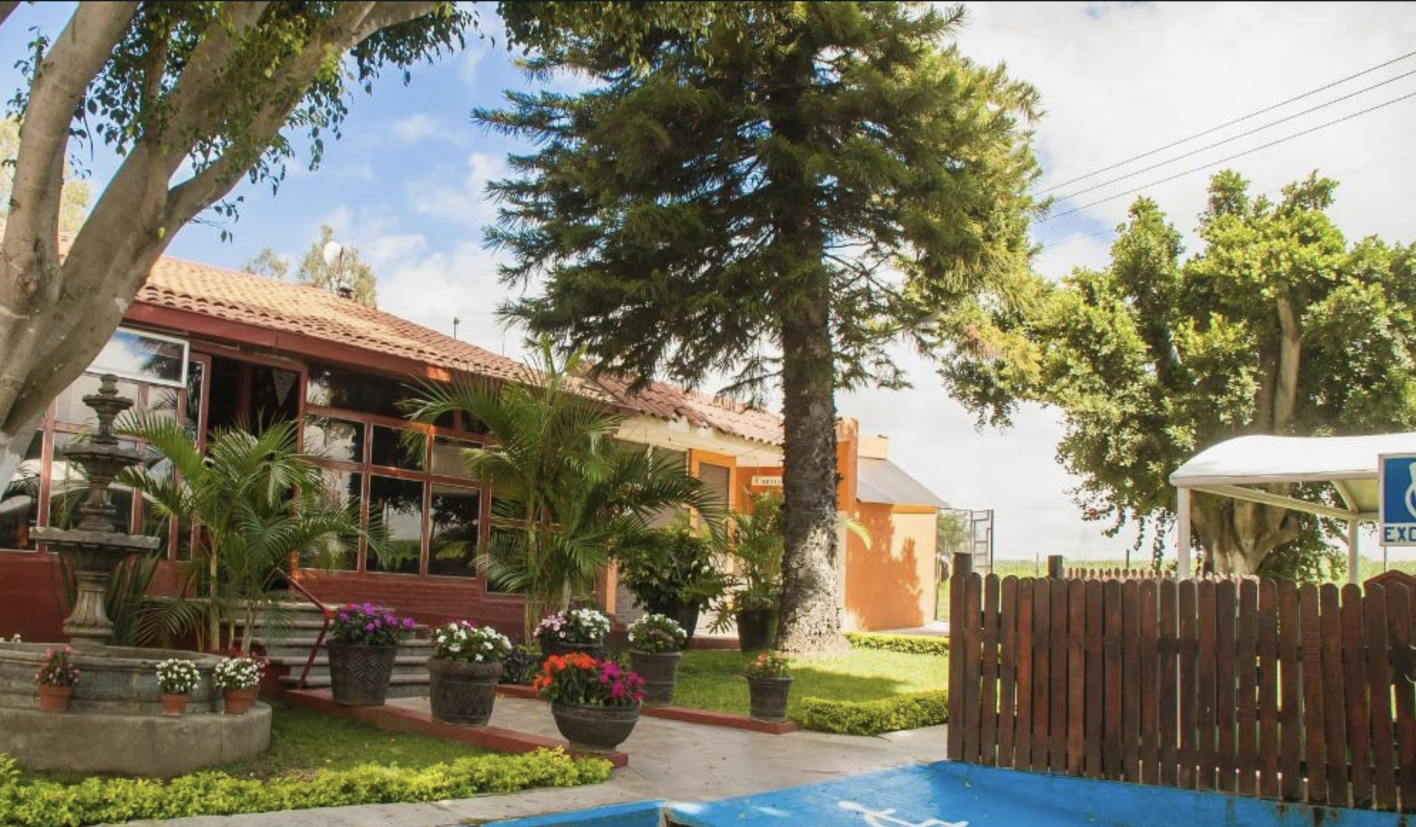 Restaurant El Perico Loro image 3