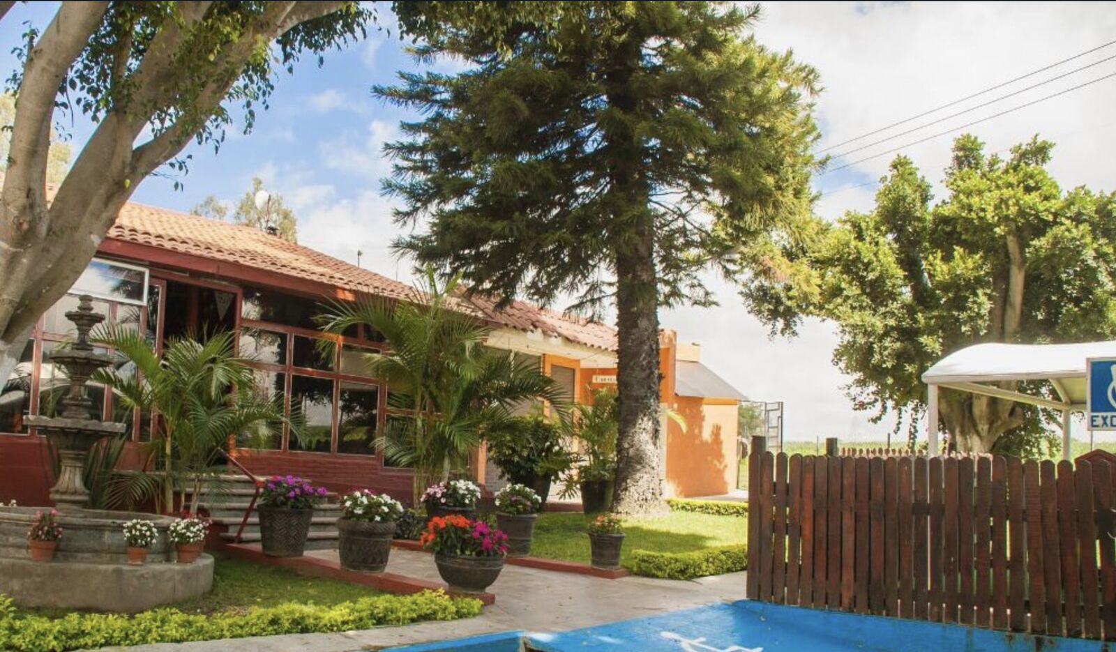 Restaurant El Perico Loro image 3