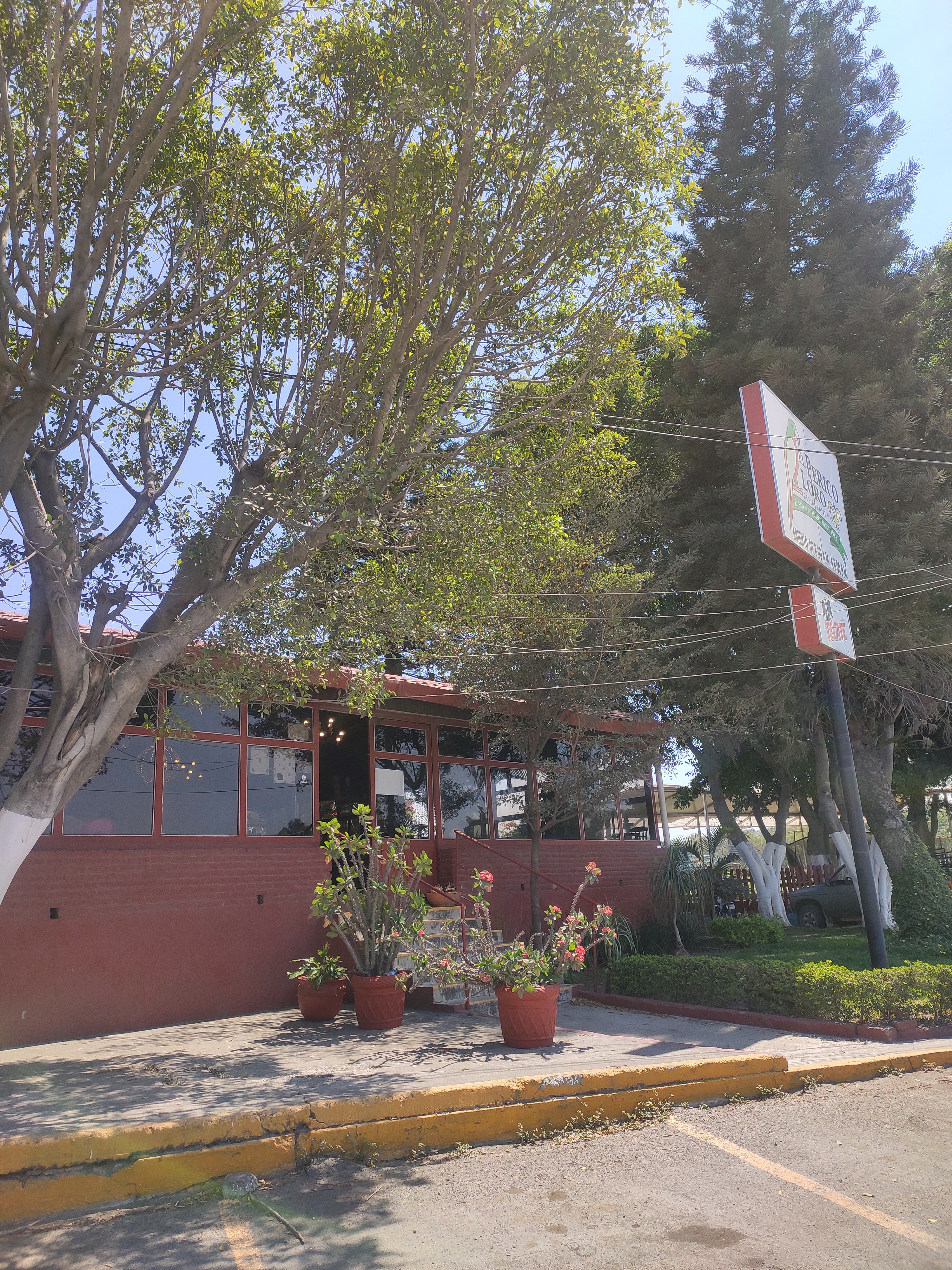 Restaurant El Perico Loro image 5