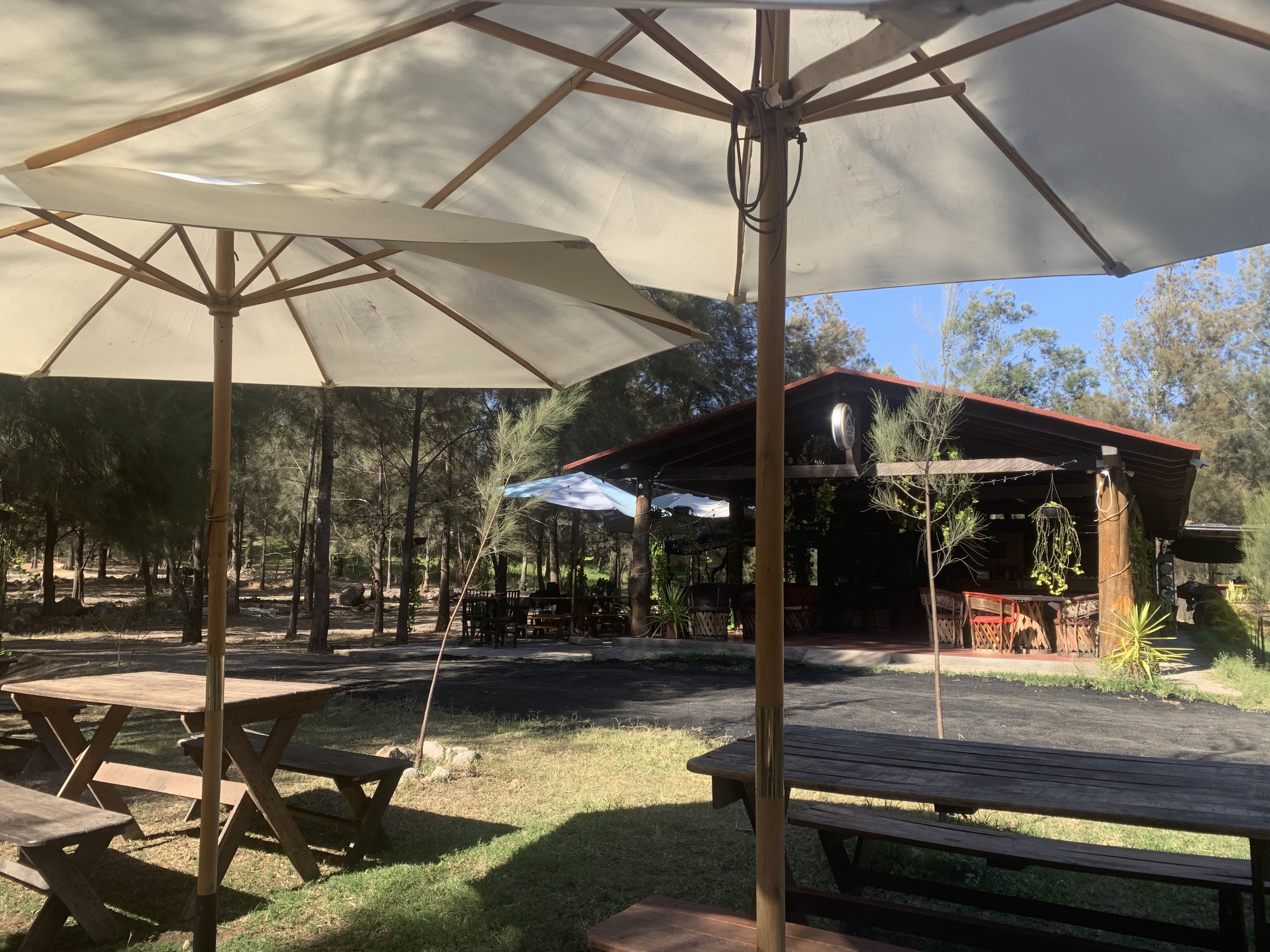 ASADERO DON JOSE CAMPESTRE TONILA image 1