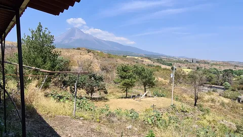 Monte Real Restaurante Campestre image 6