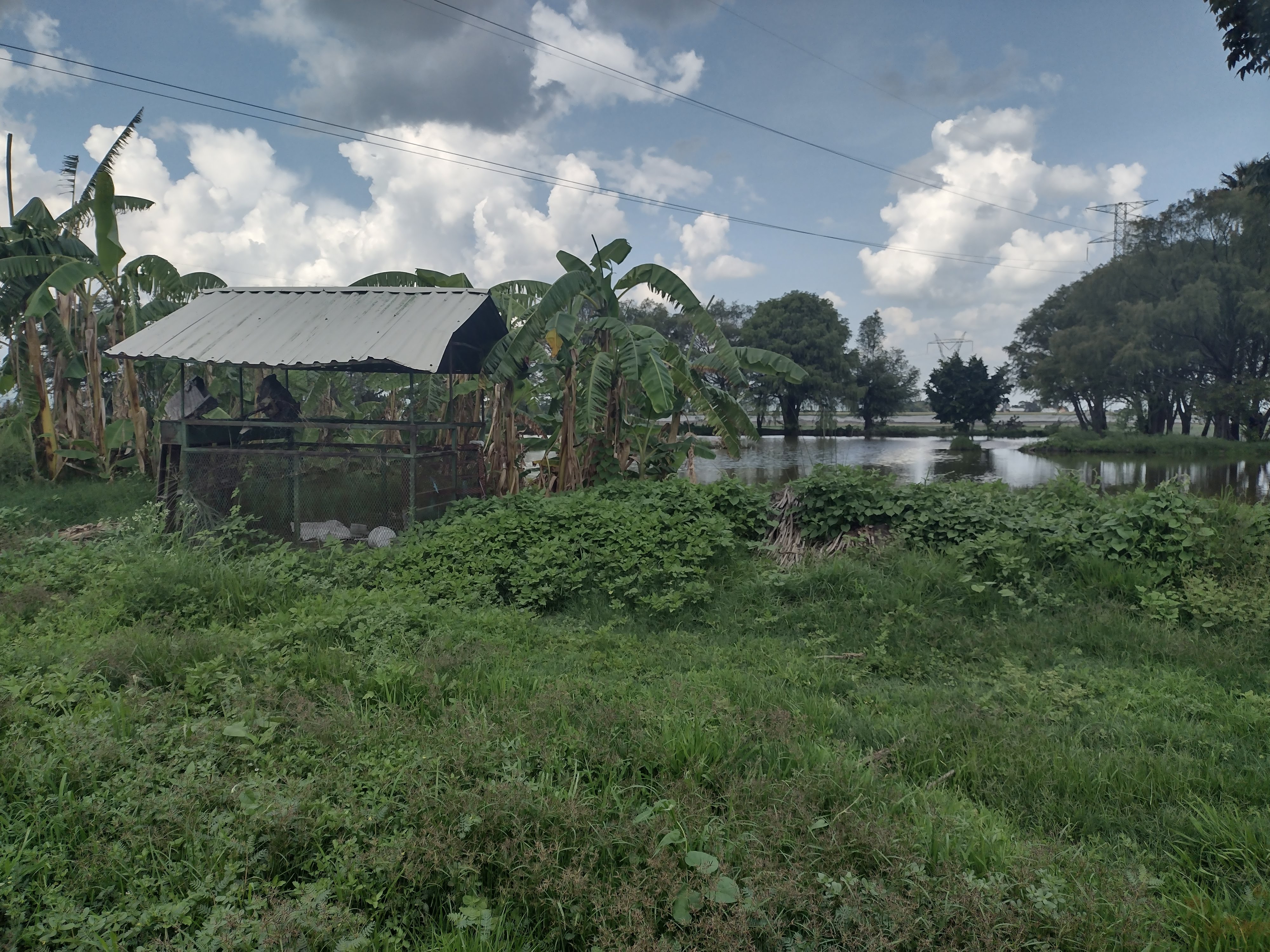 restaurante de pescados tapia image 7