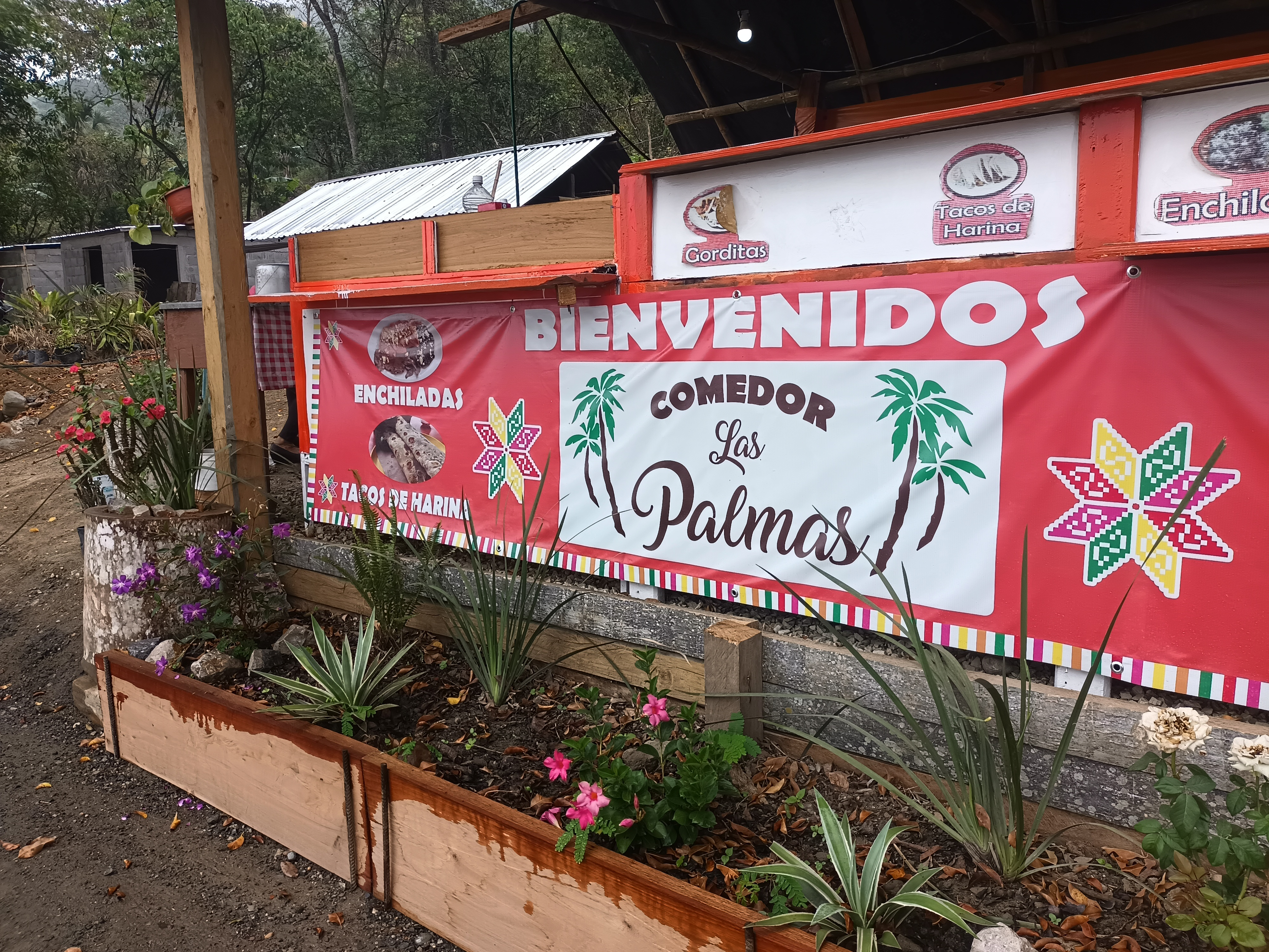 Comedor Las Palmas image 5