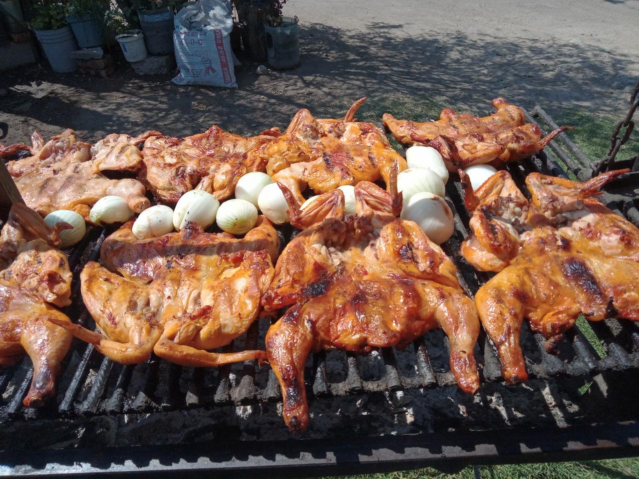 "POLLO ASADO EL PALMITO" Sucursal Penjamillo image 1