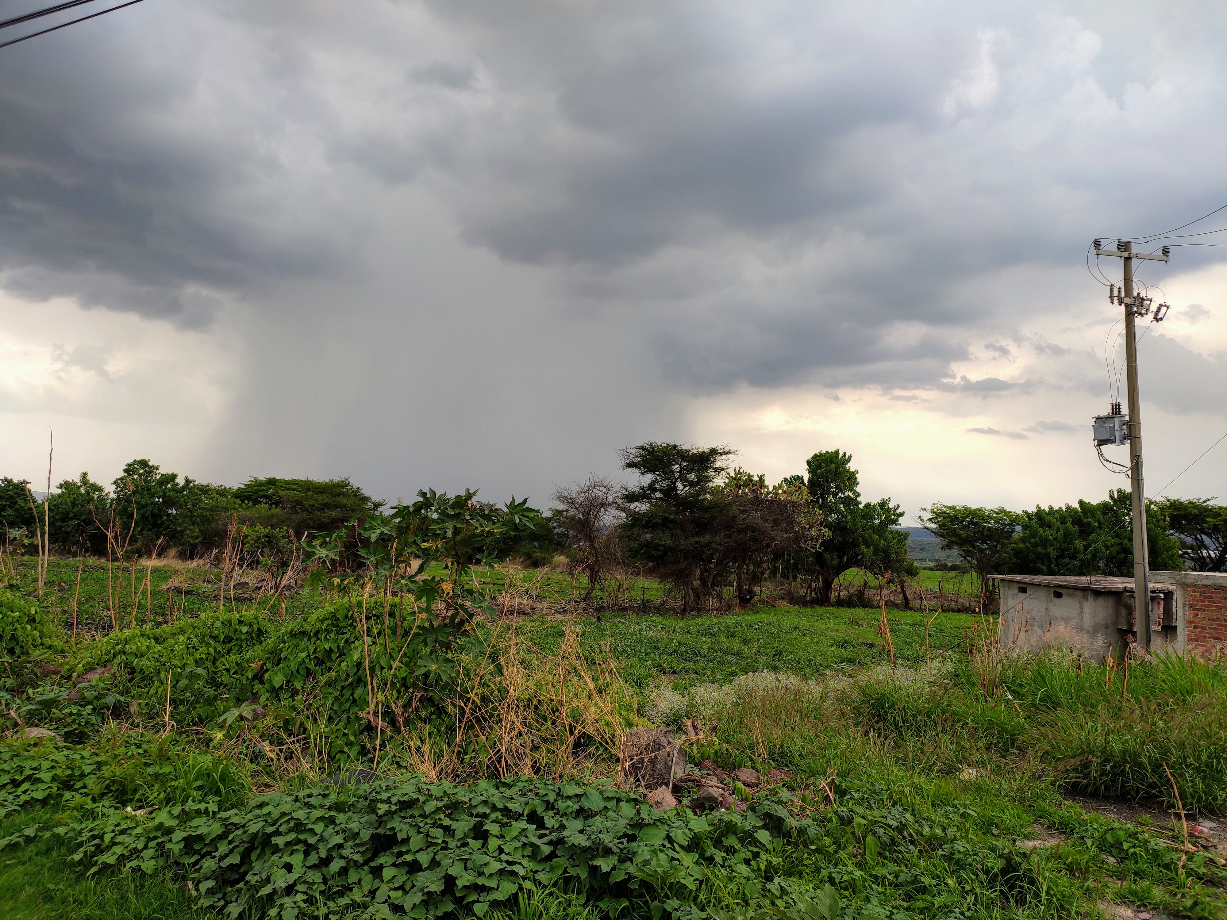 Parador-restaurante La Cabaña image 6