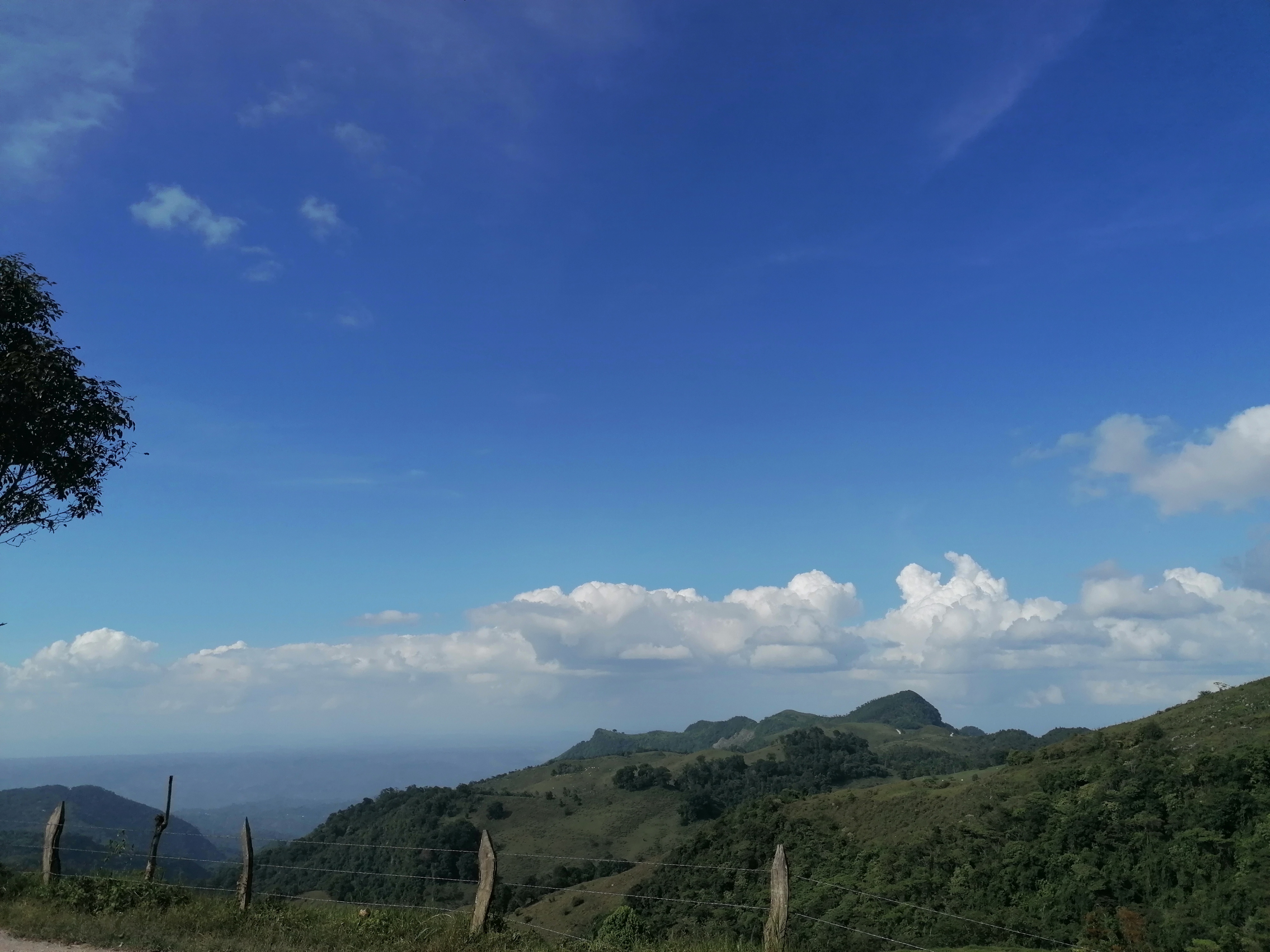 Restaurante Xochitl image 8