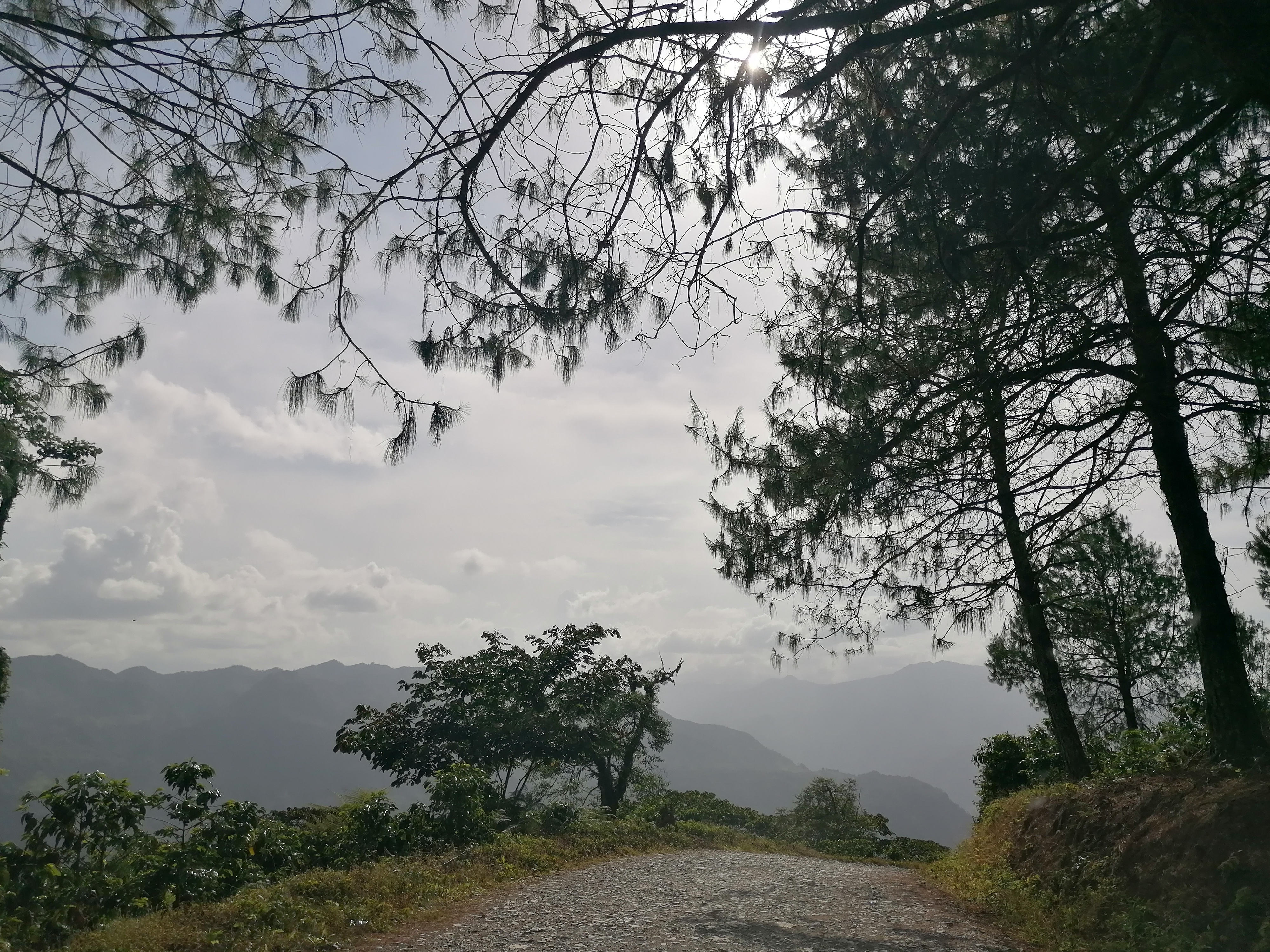 Restaurante Xochitl image 9