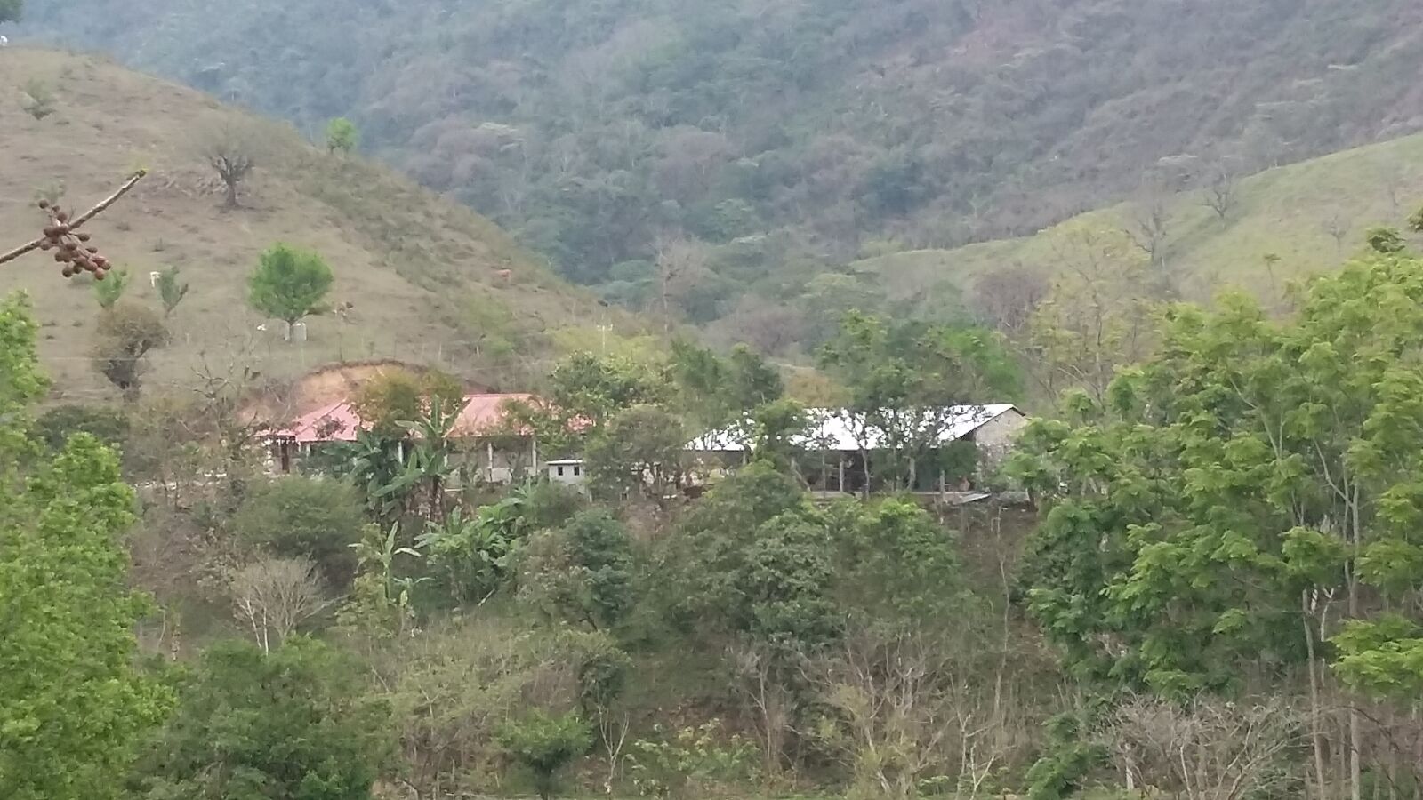 Centro Ecoturistico "El Nuevo Zicatlan" image 7