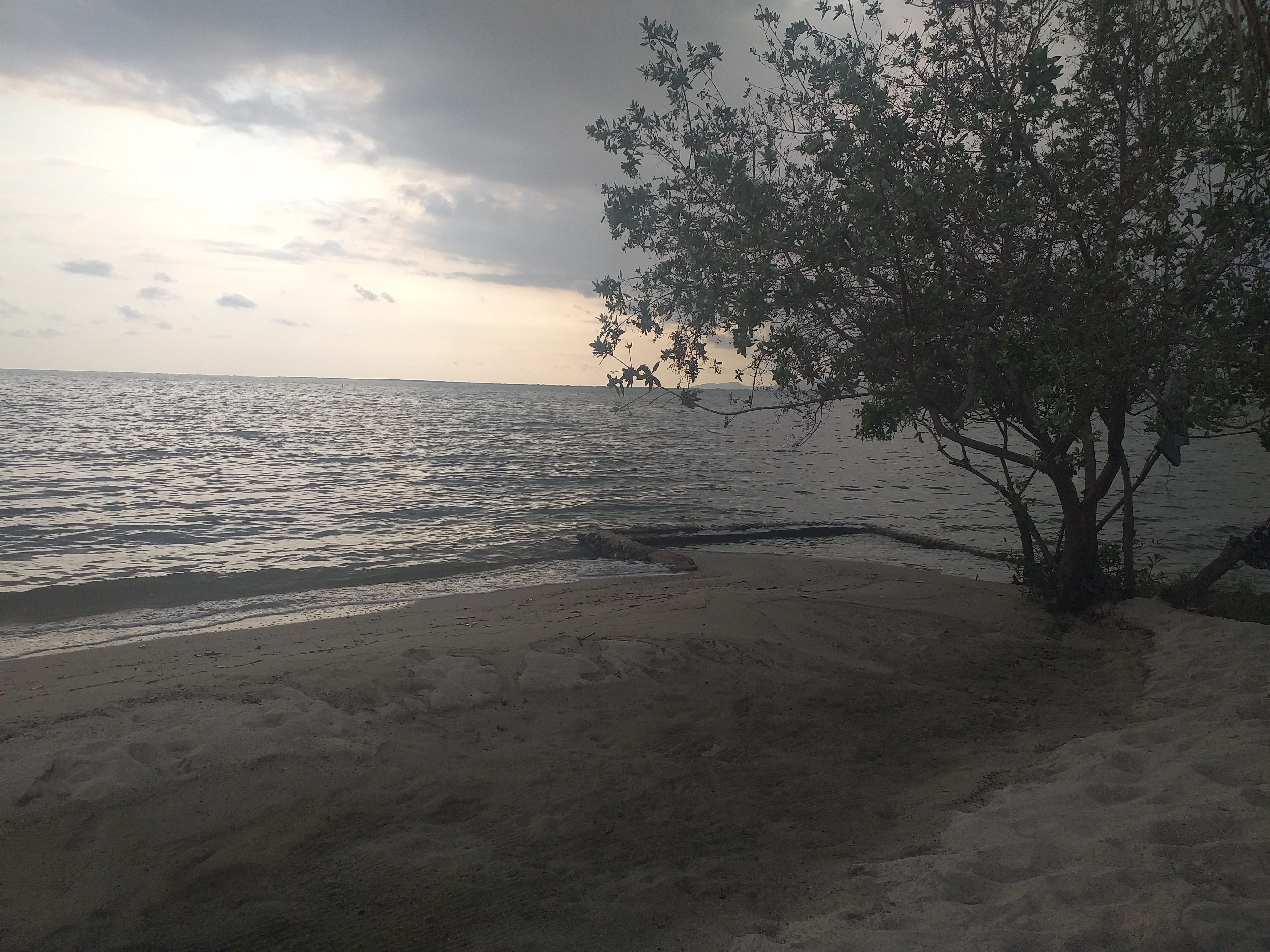 Restaurante Agua y Sal image 6