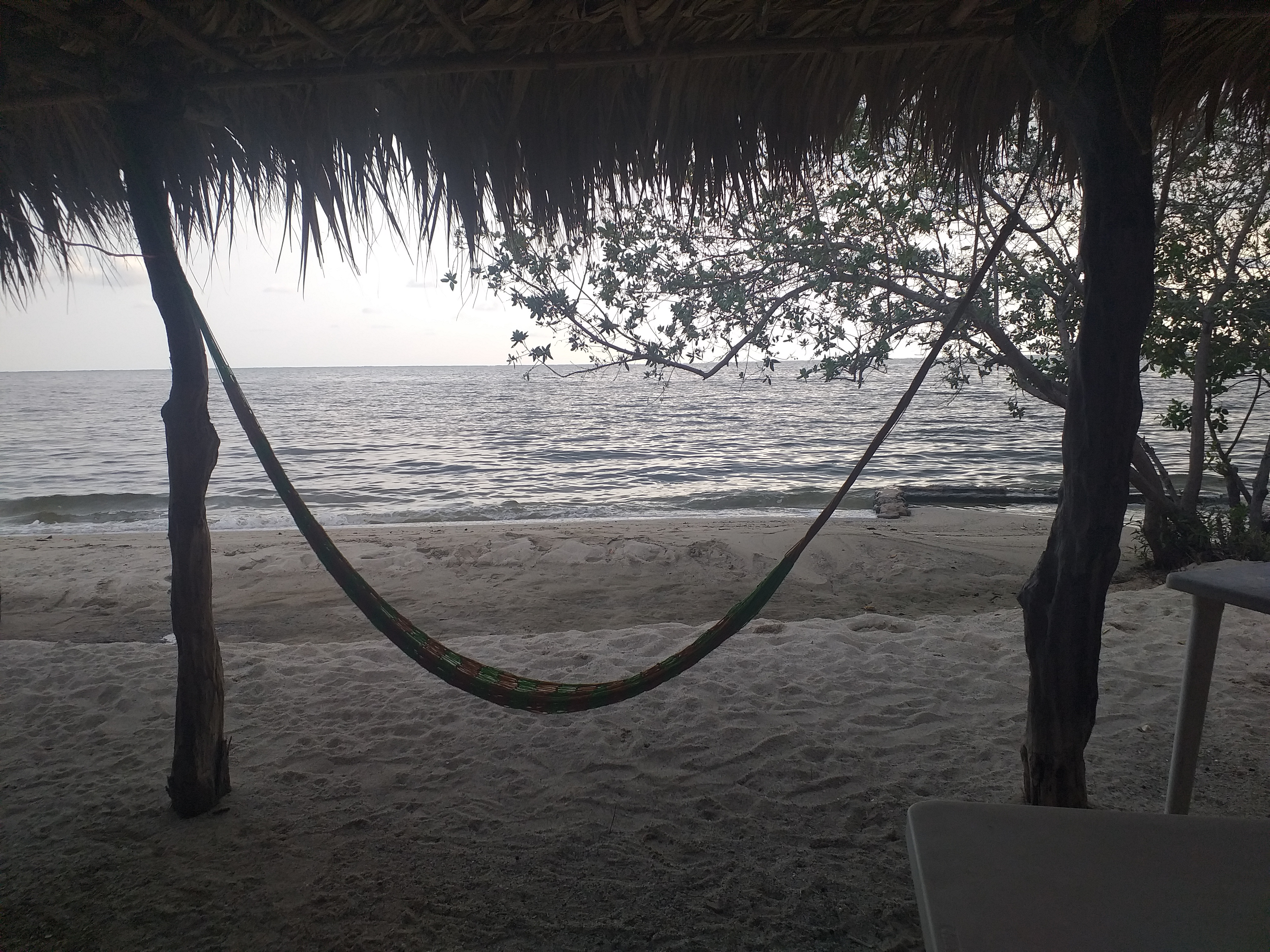 Restaurante Agua y Sal image 7