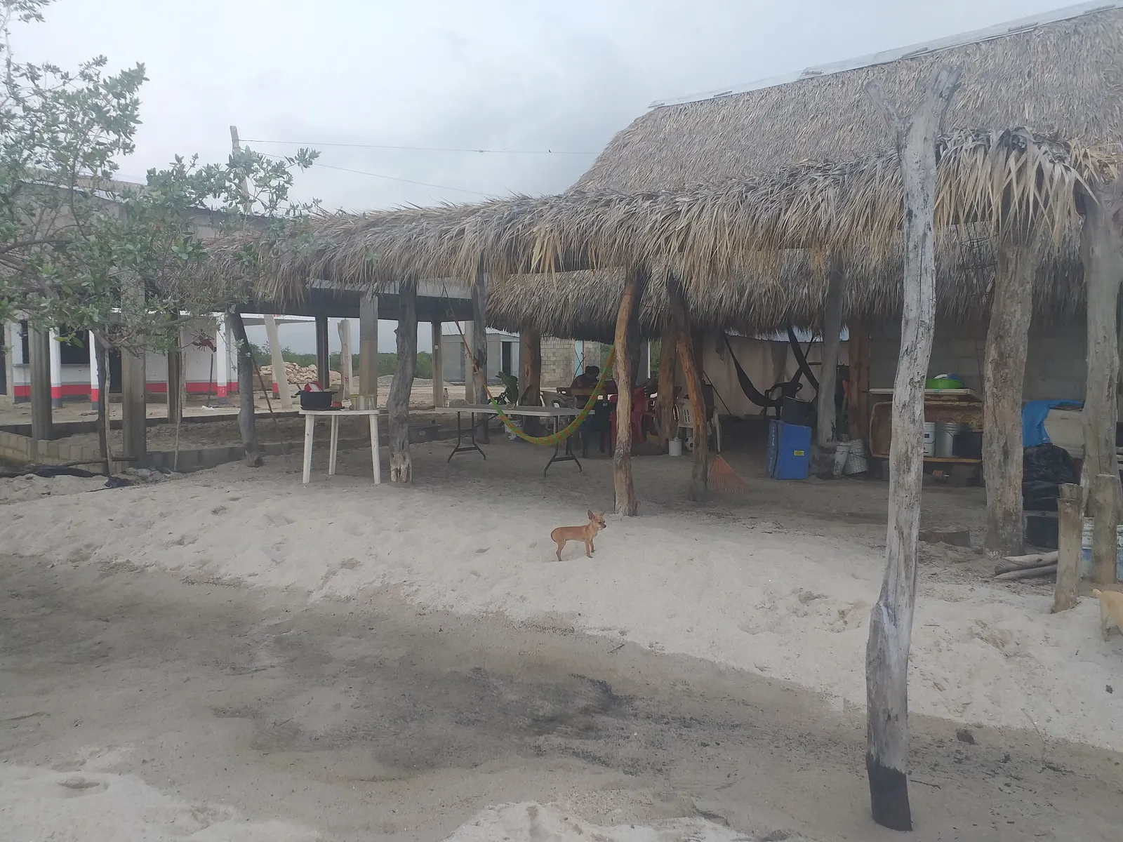 Restaurante Agua y Sal image 9