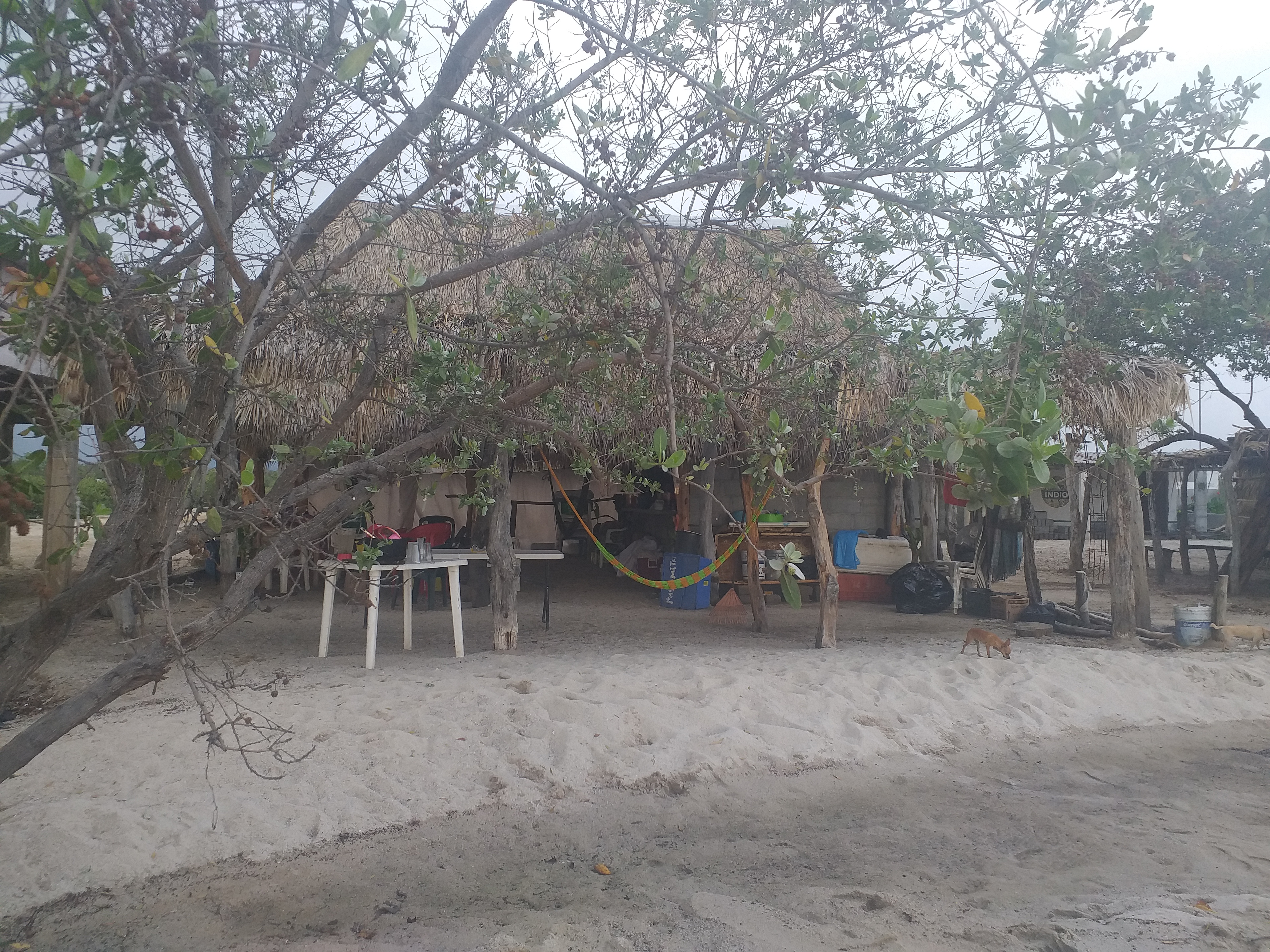 Restaurante Agua y Sal image 10