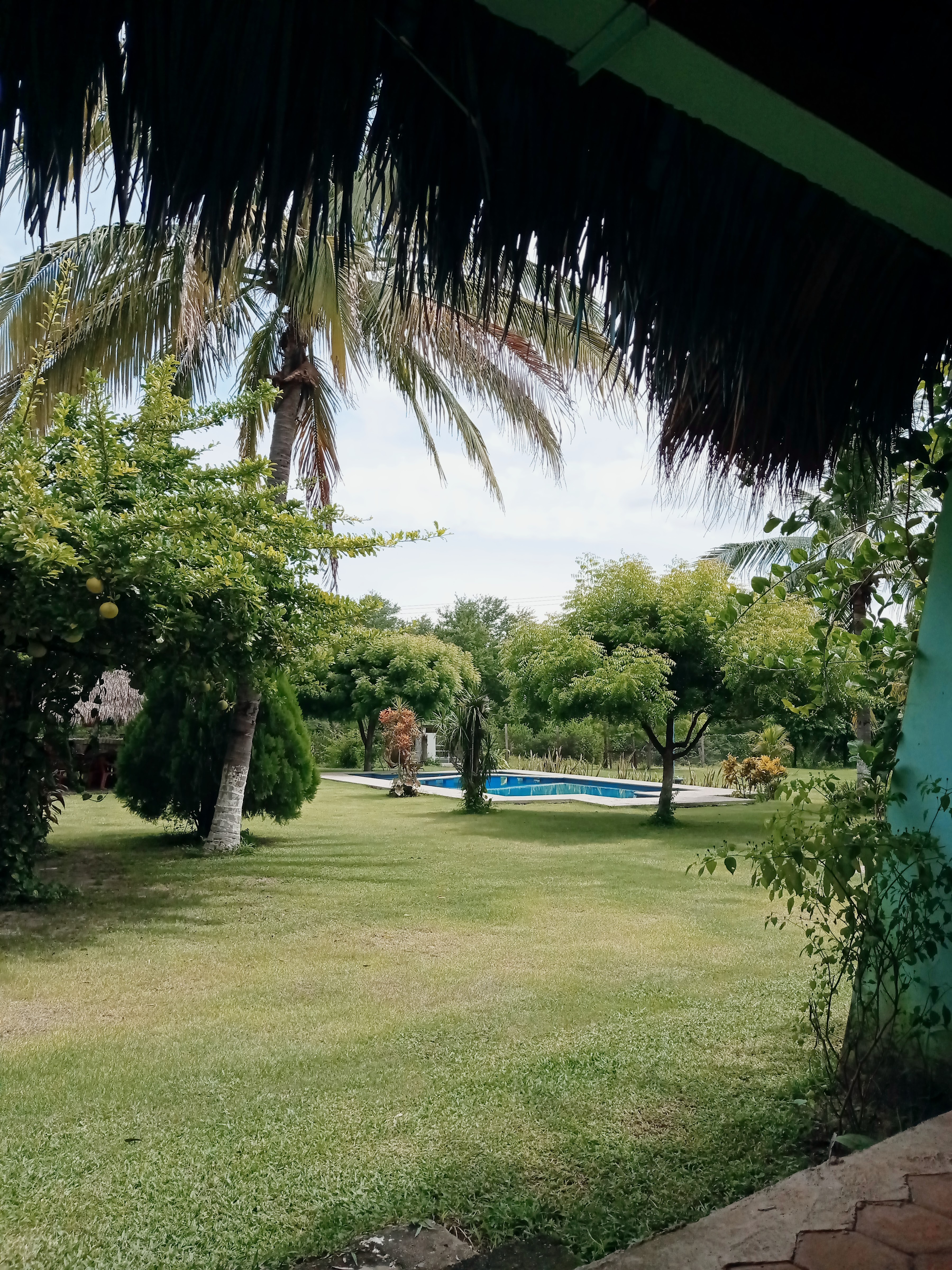 Restaurante Boca del Río image 9