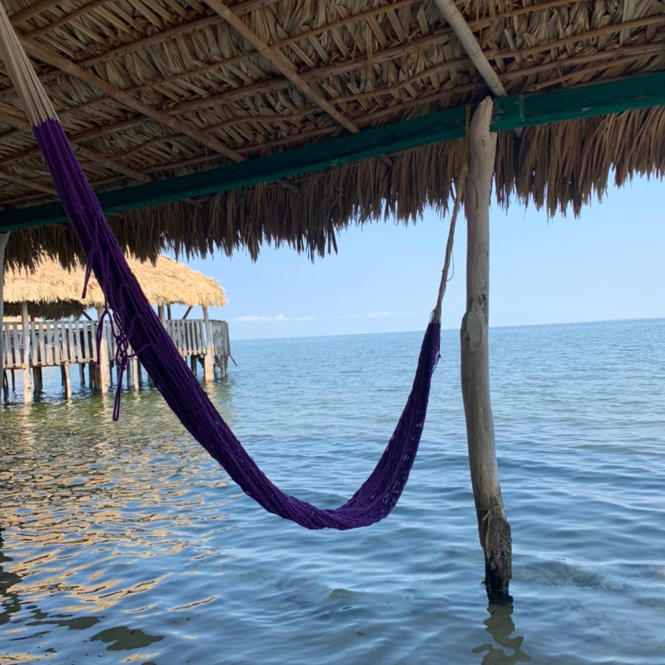 Restaurante "El Paraíso" image 8