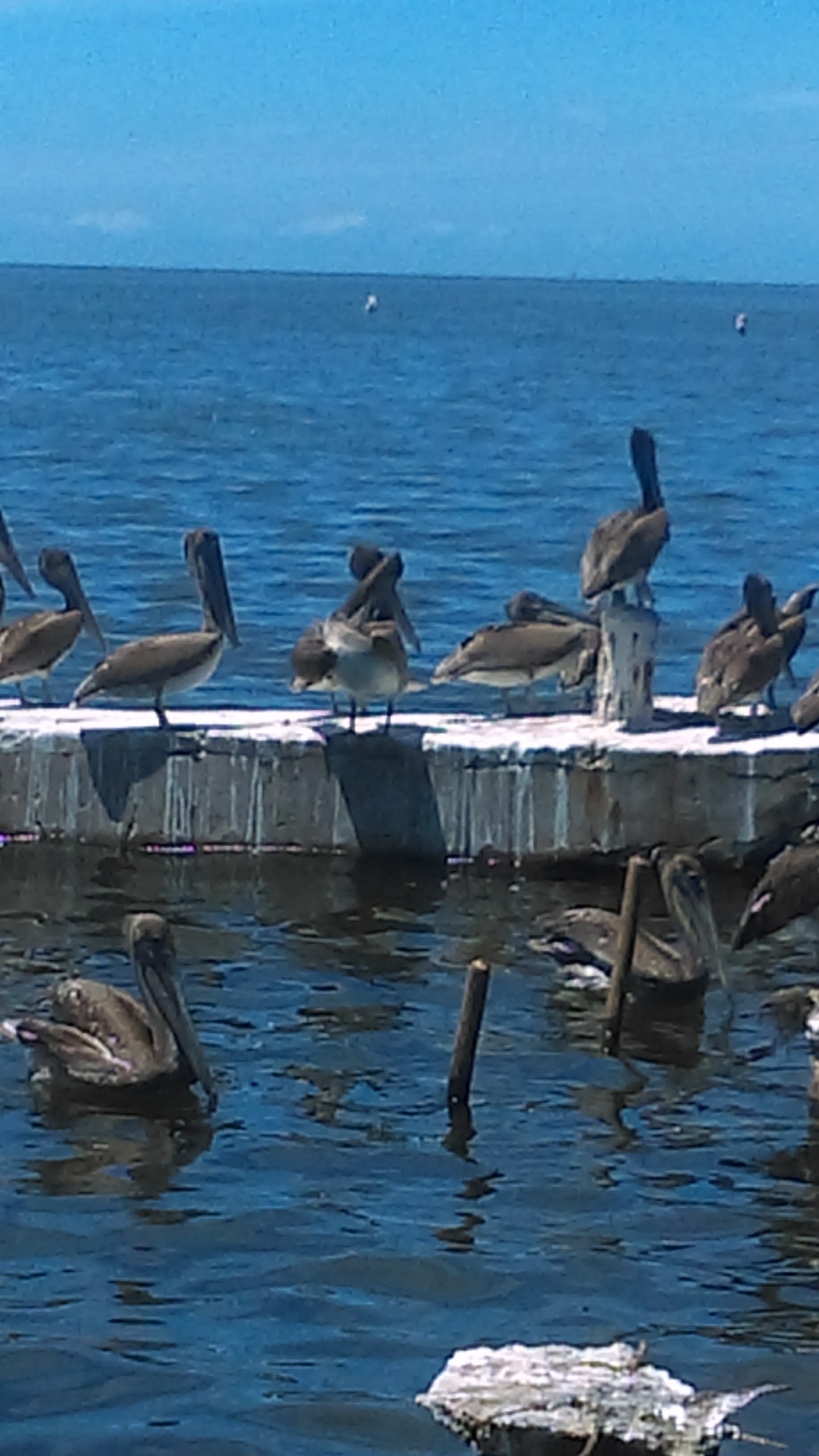 Restaurant Zalatiel image 3