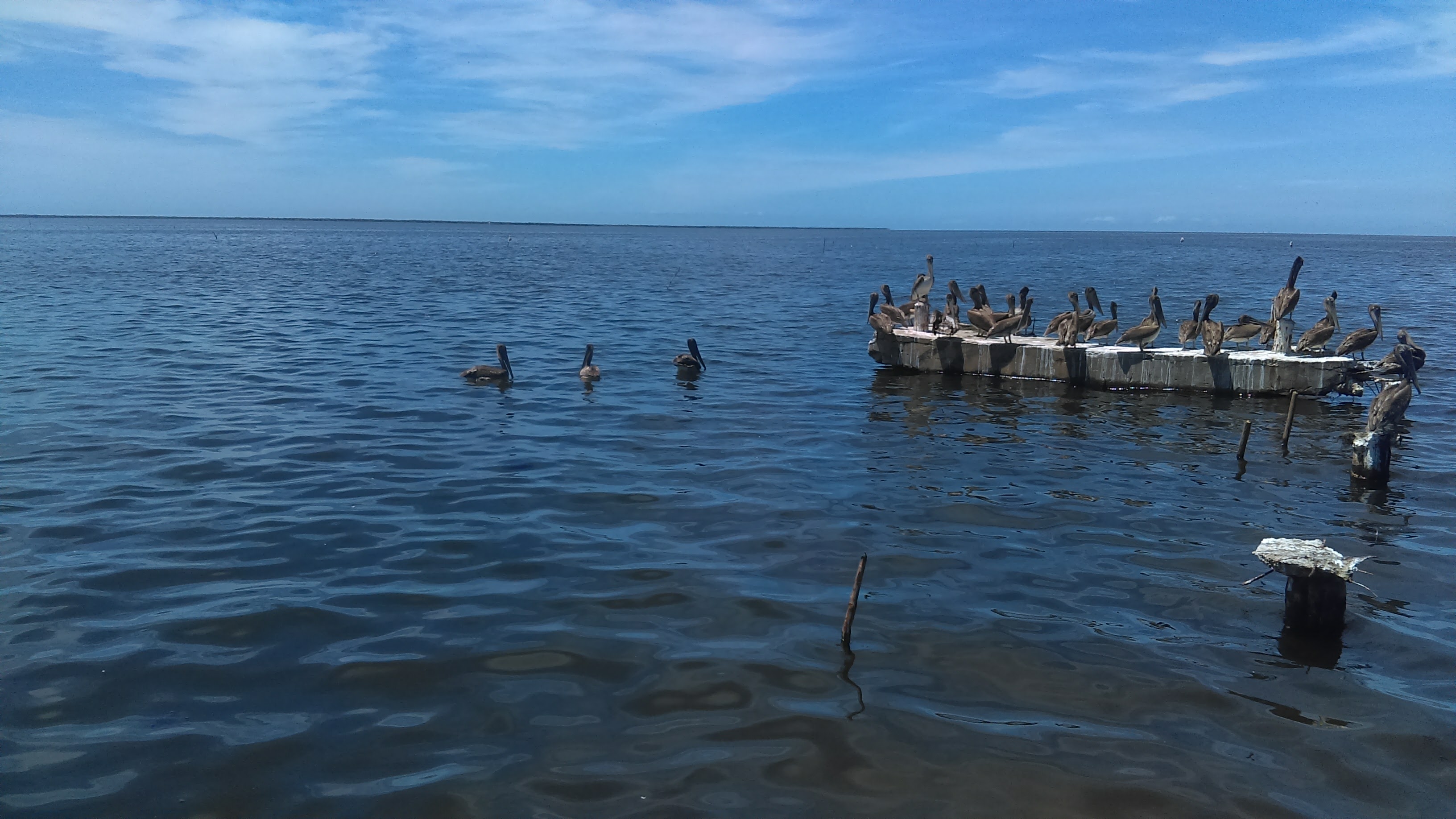 Restaurant Zalatiel image 7