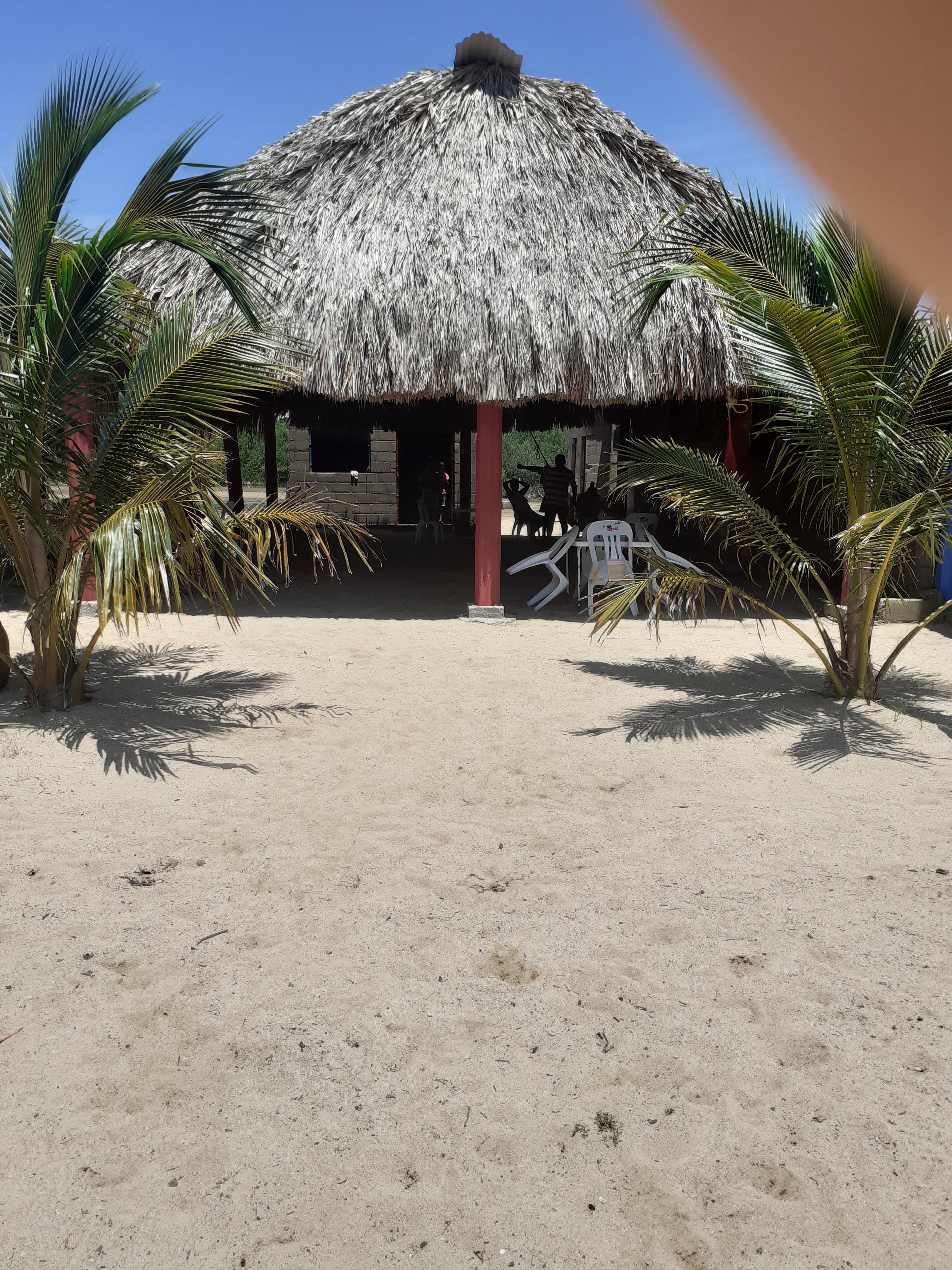 Palapa el del fin feliz image 3