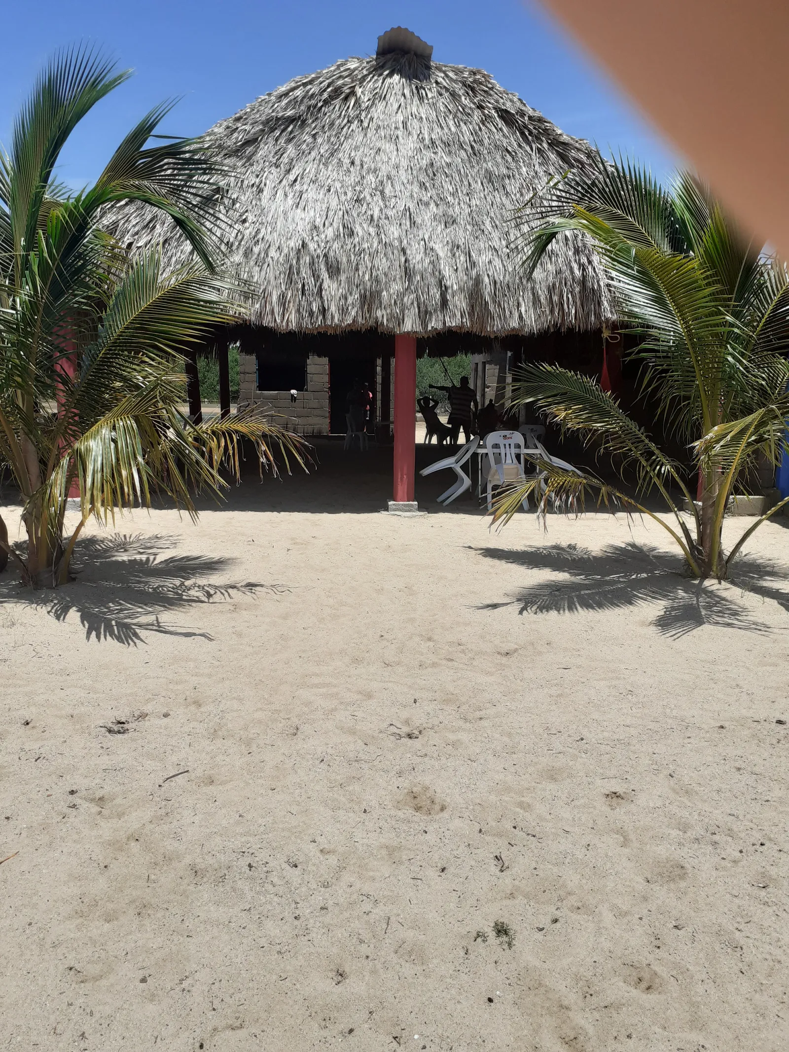 Palapa el del fin feliz image 3