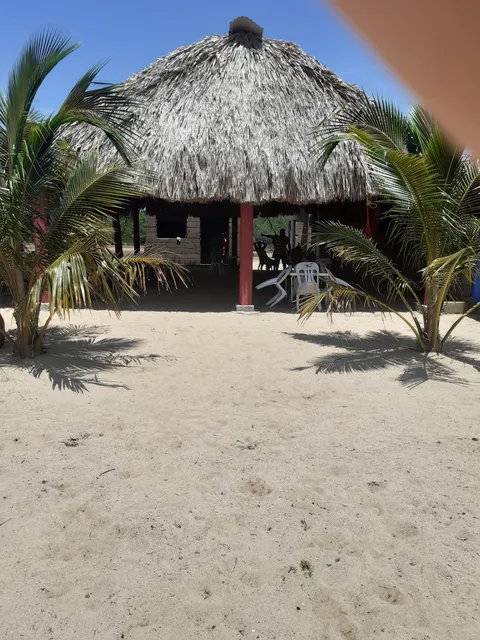 Palapa el del fin feliz image 3
