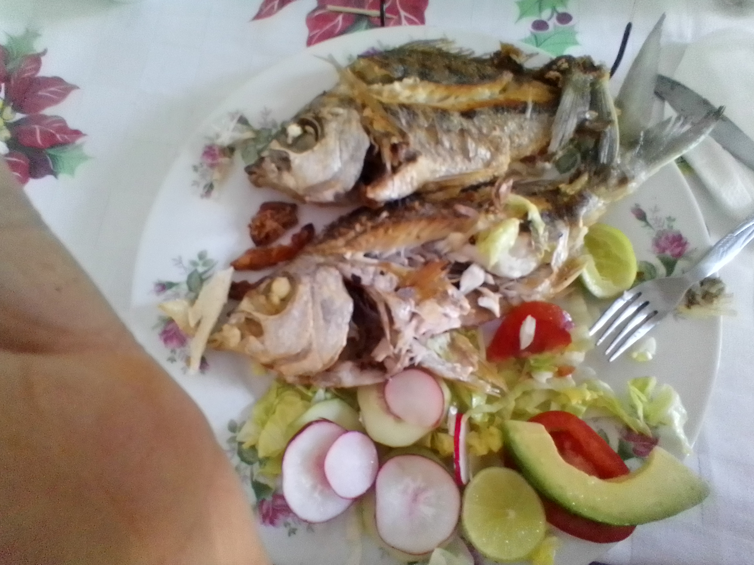 Restaurante El Económico image 7