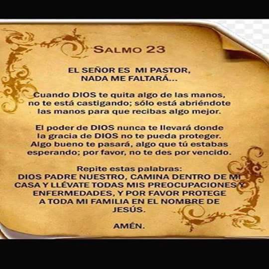 Tortas "Chispas" image 9