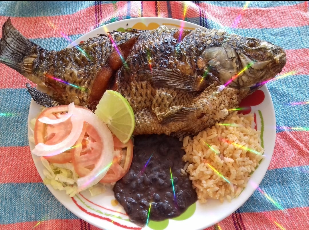 "La Tradicional" Cocina Mexicana image 9