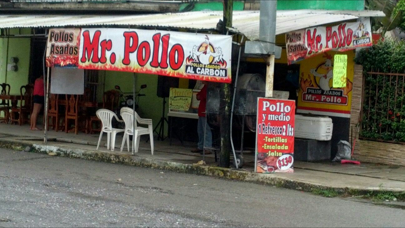 Mr. Pollo image 1