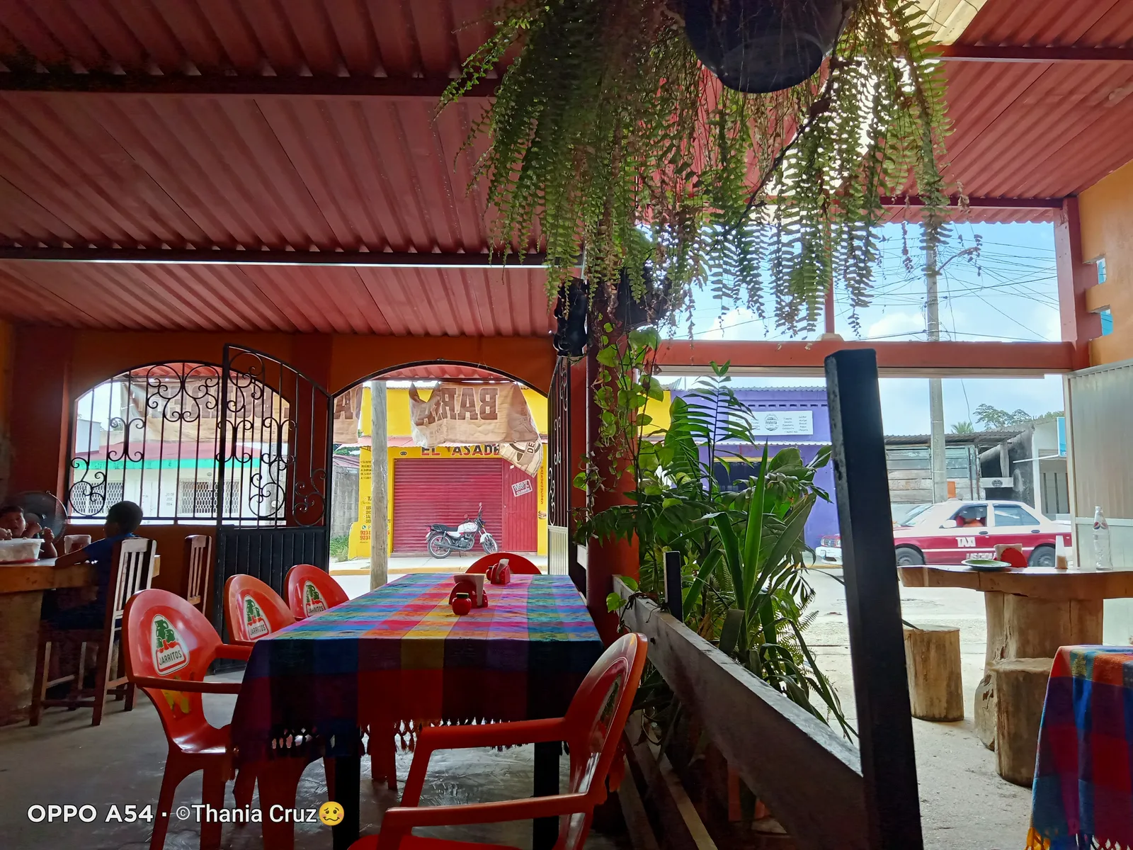 Barbacoa y Restaurante Las Barras del Coyote image 6