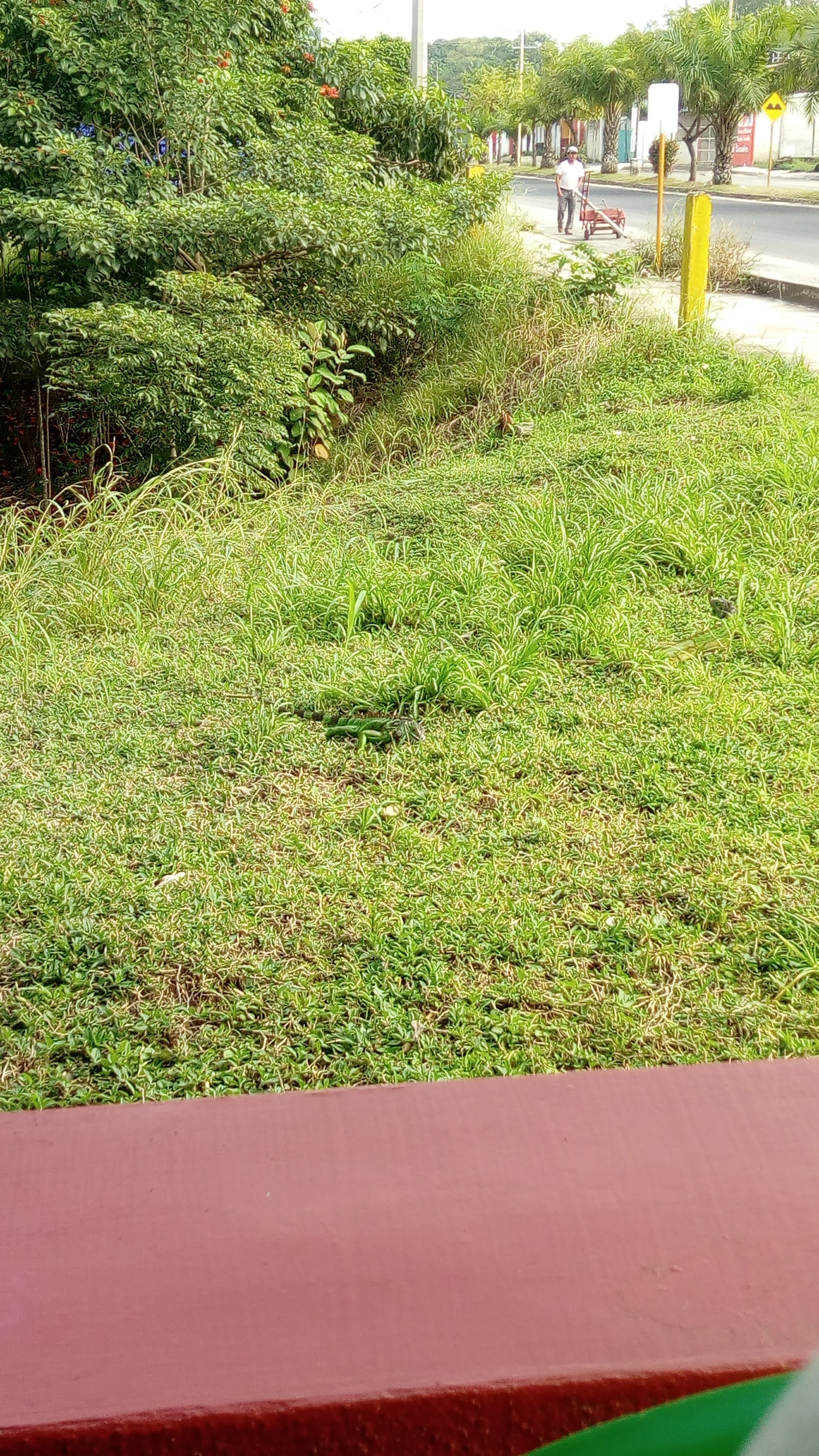 Cockteleria Las Glorias image 4