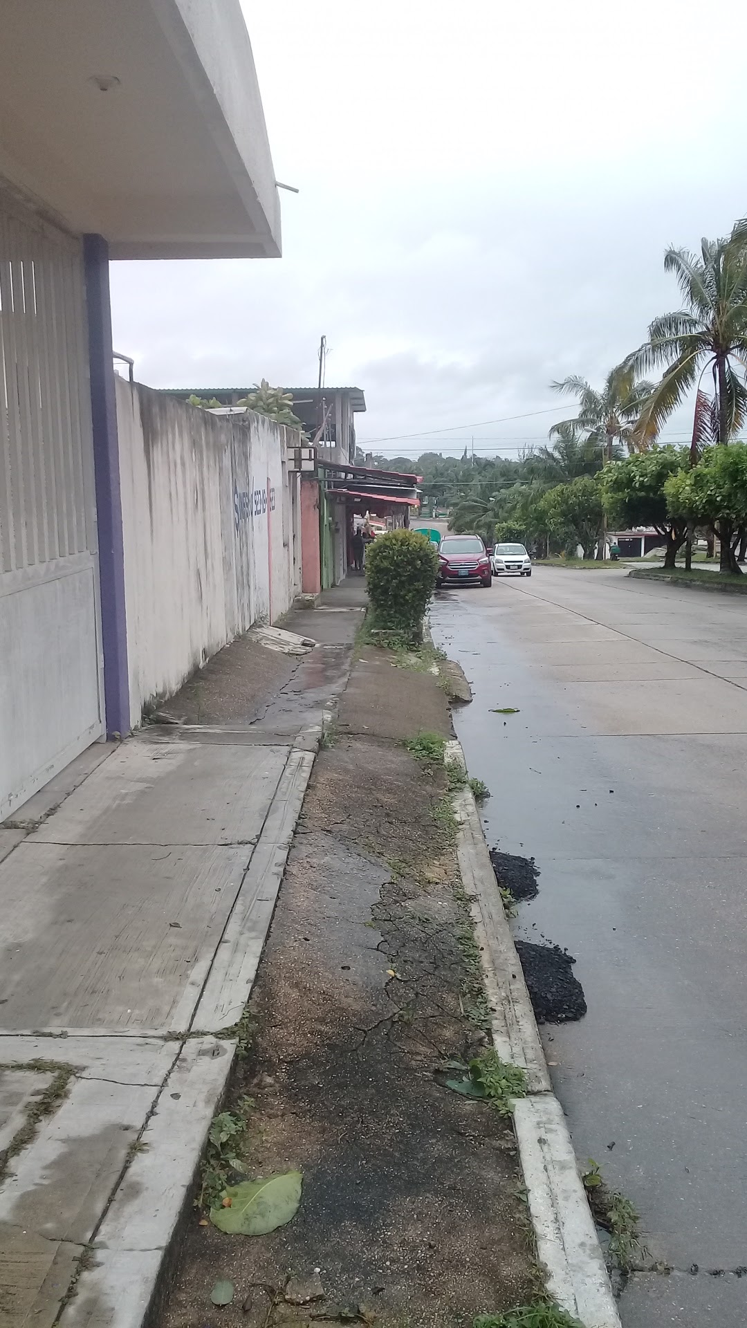 Hamburguesas LA CASITA DE LUPITA image 3