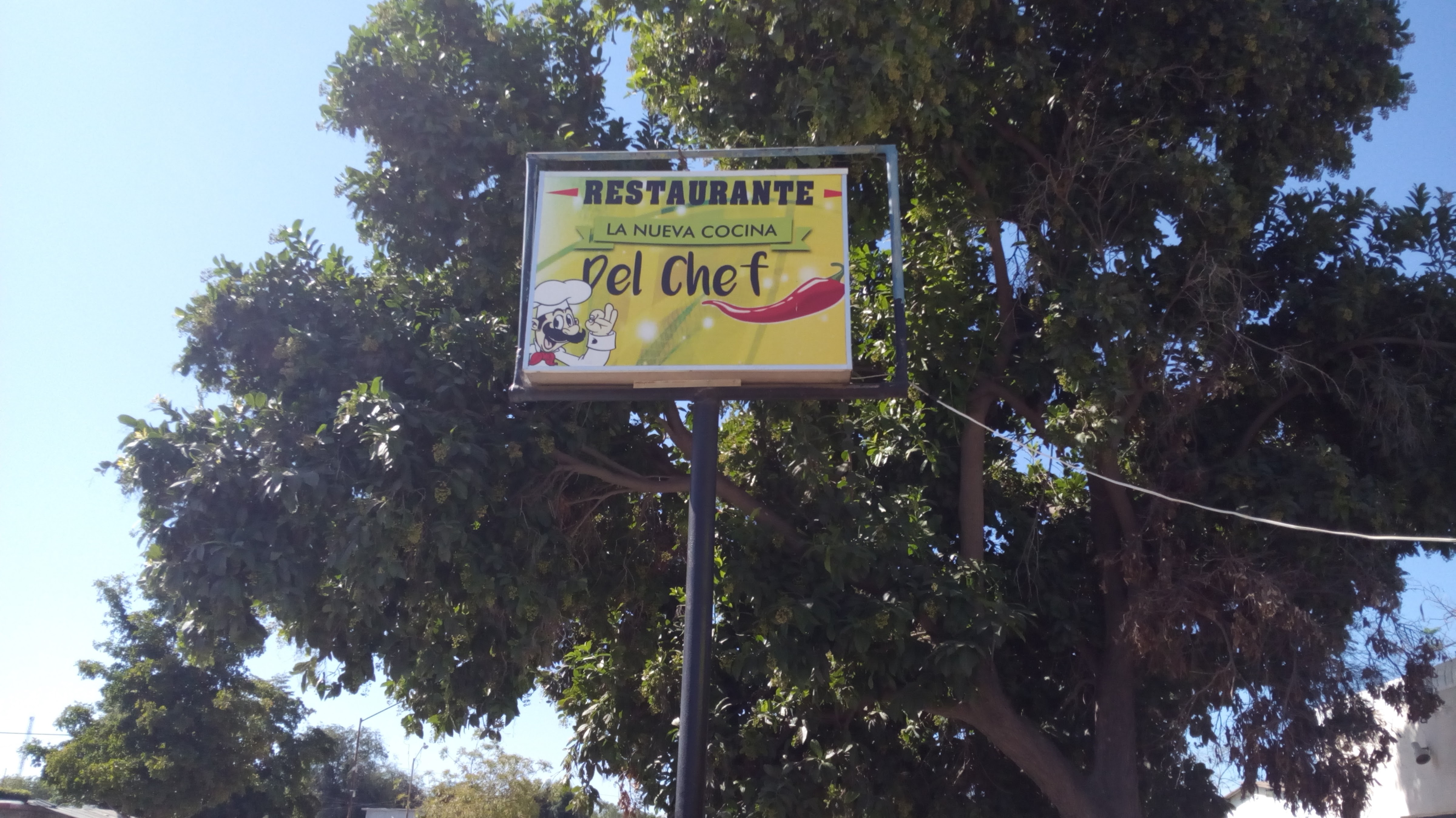 Comida del Chef image 6